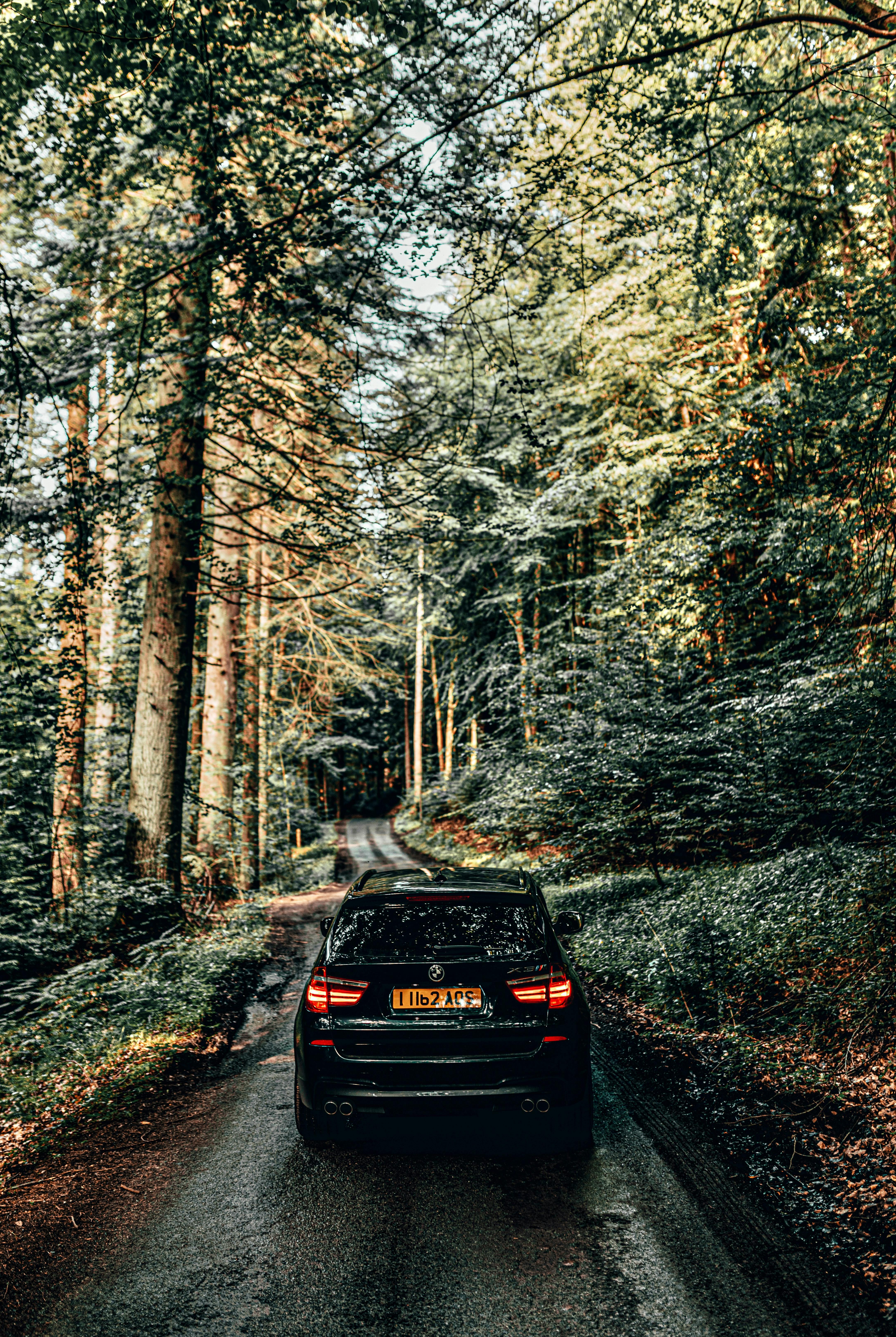 4342x6471 Black Car in the Forest Road · Free