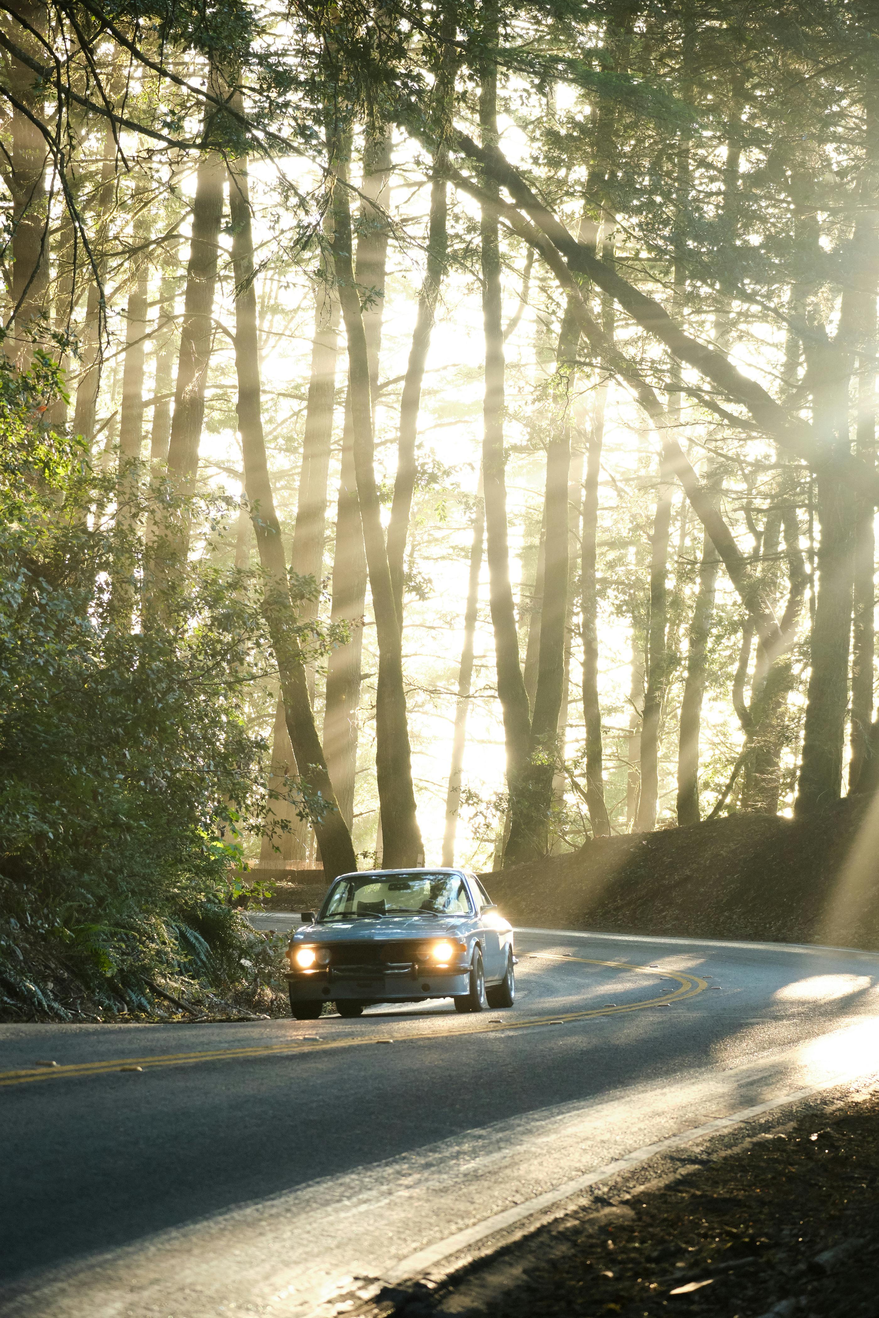 2800x4200 Vintage car riding on road in forest · Free