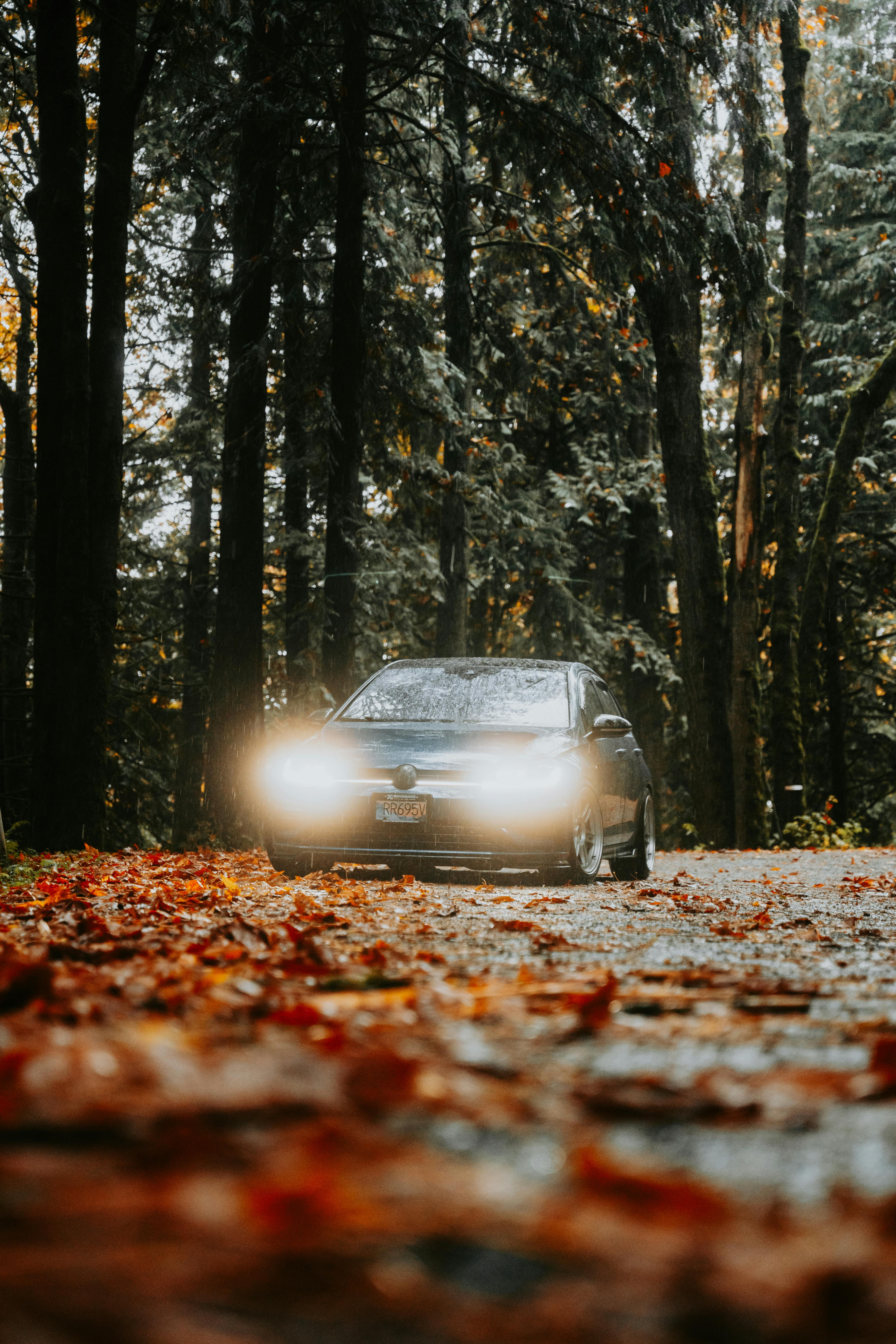 4397x6596 Car driving through forest in autumn · Free