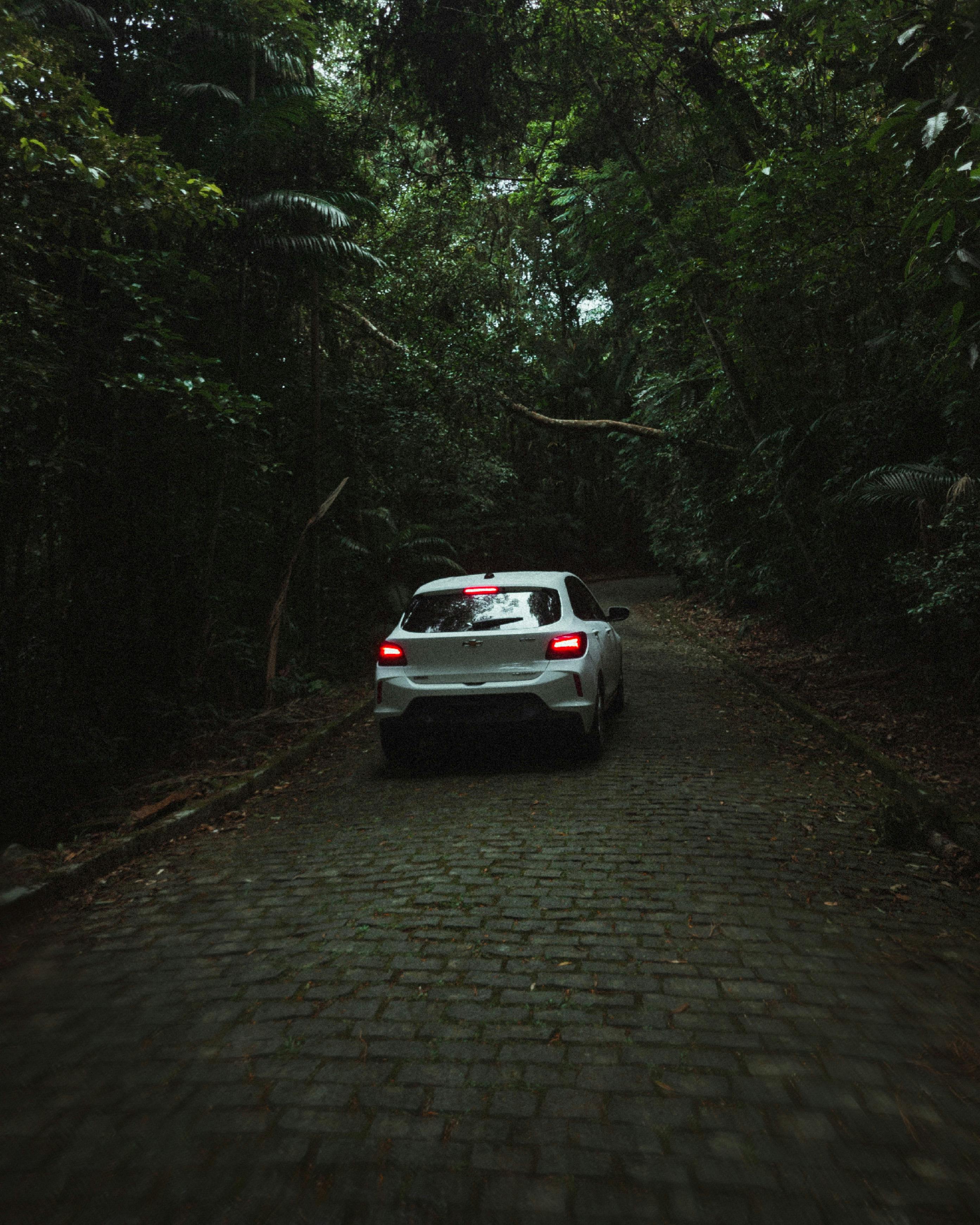 2785x3481 White Car on Road in Dark Forest · Free