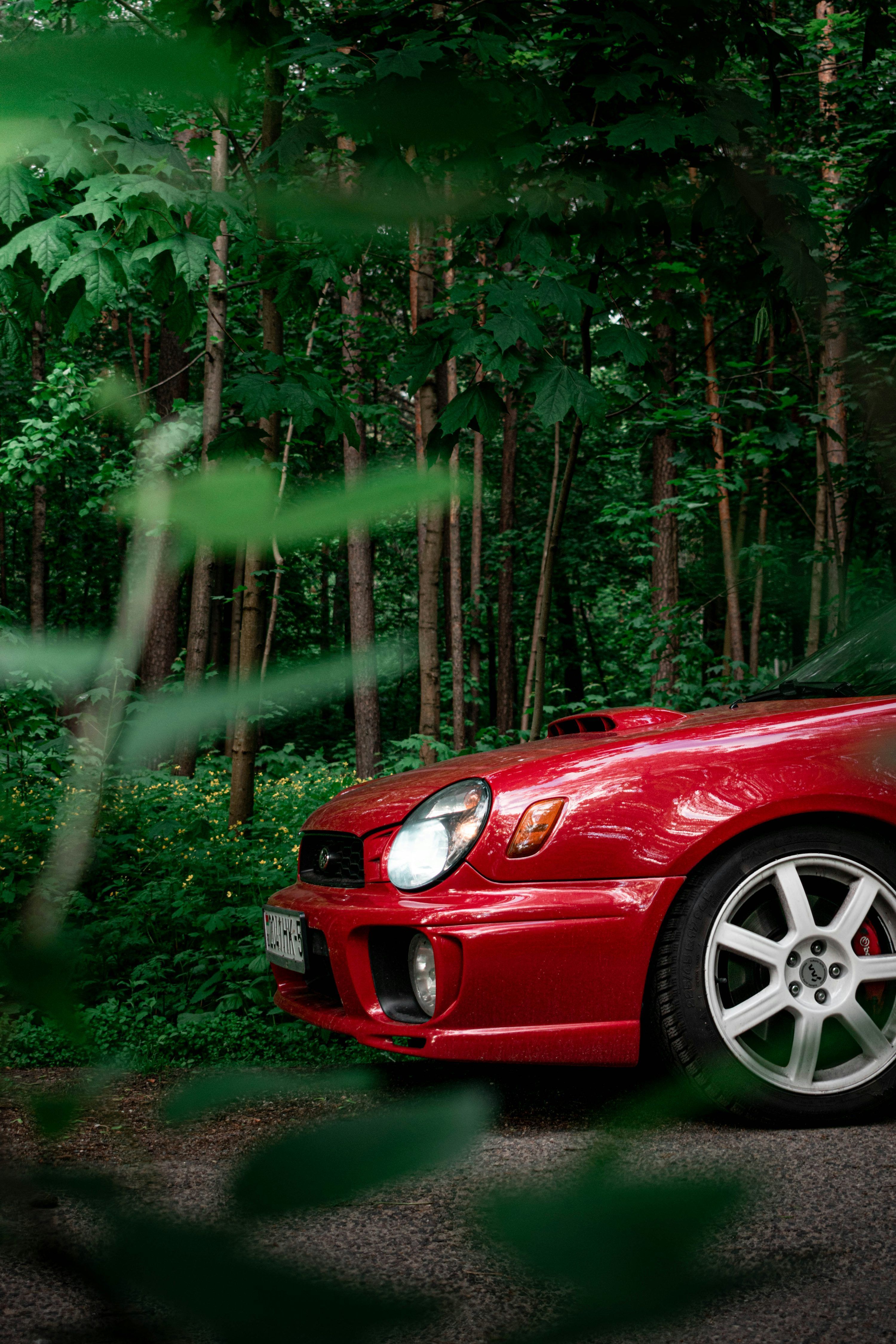 3000x4500 Car In Forest Picture. Download Free Image