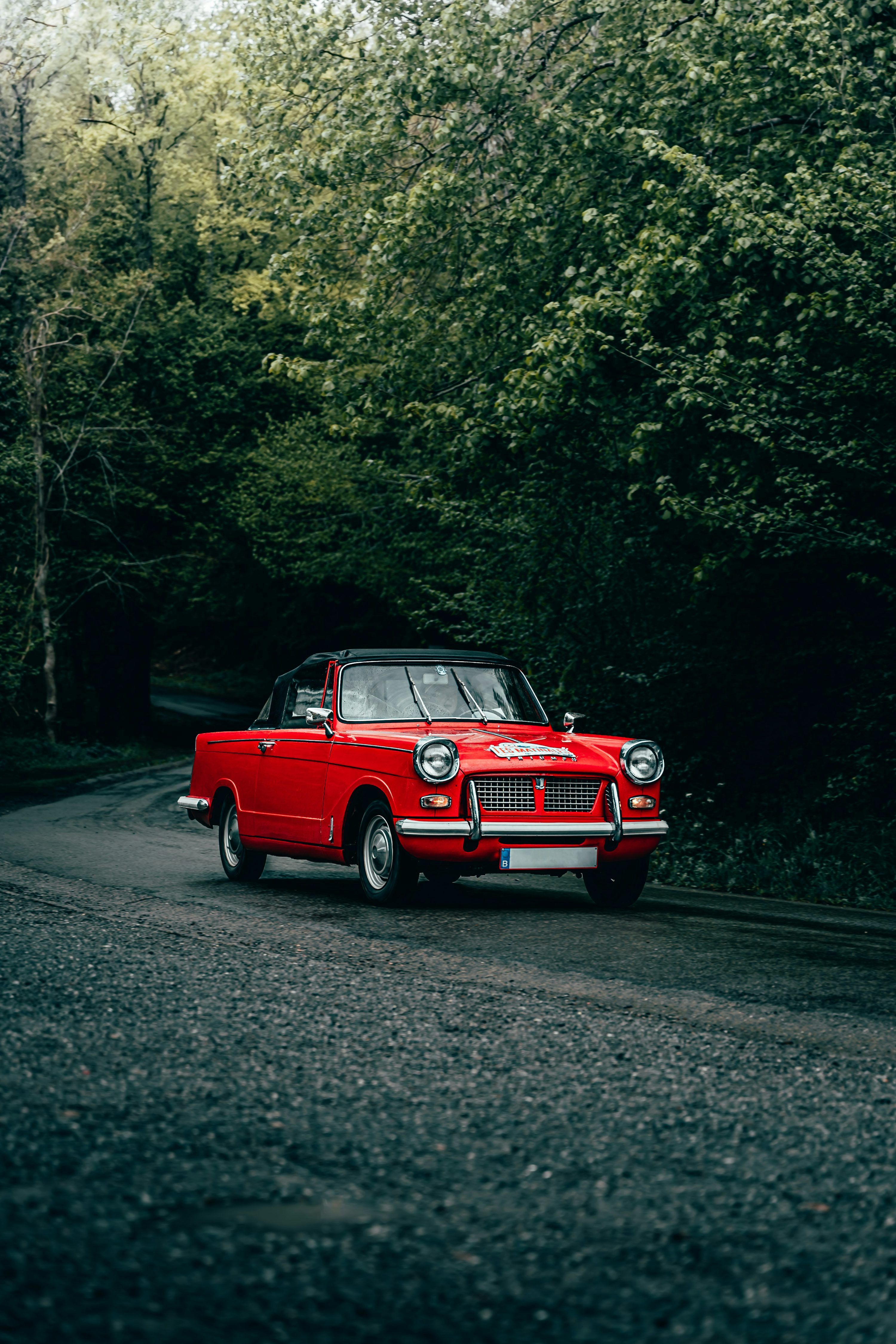3000x4500 Car In Forest Picture. Download Free Image