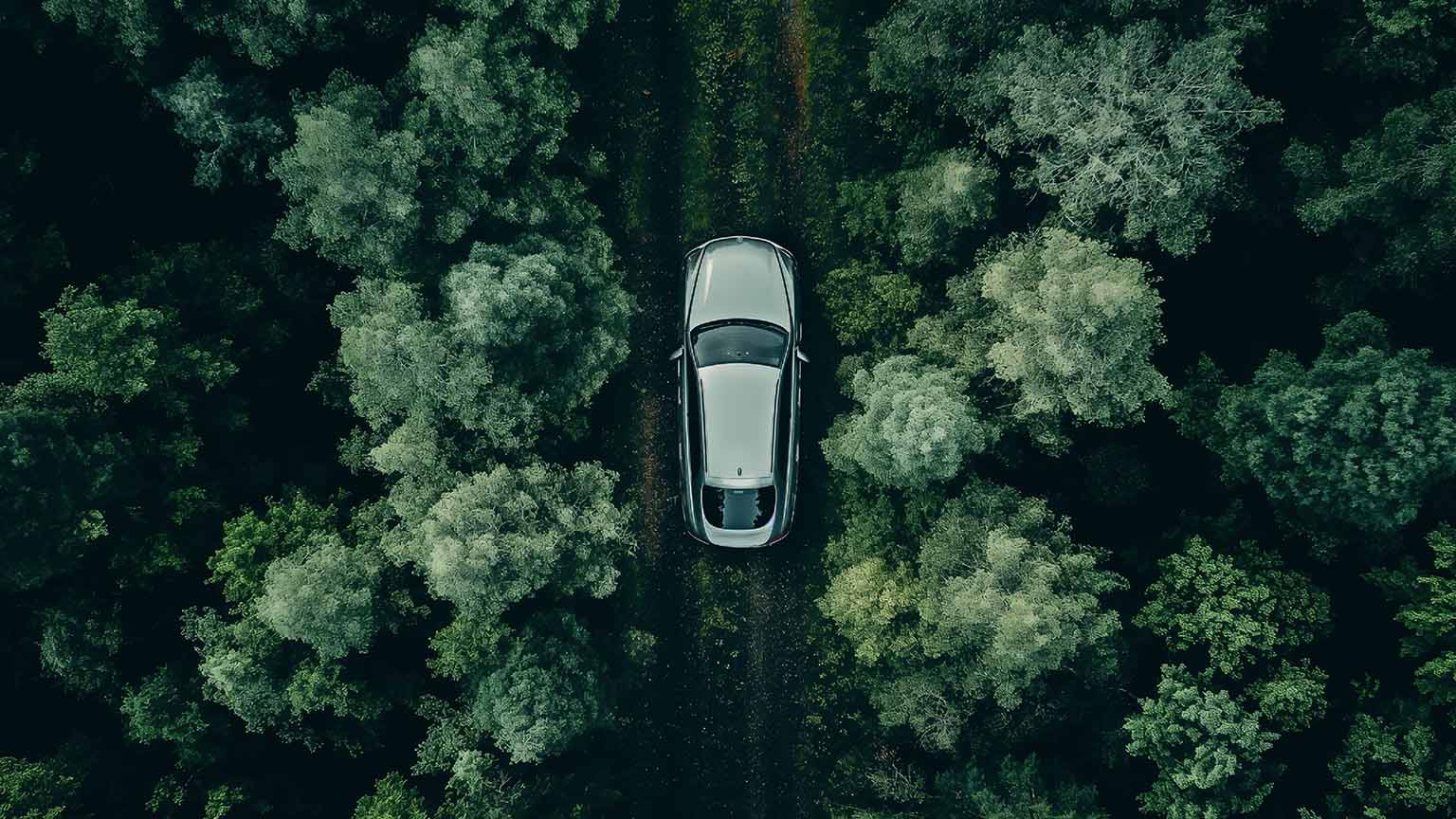 1536x864 Car in Forest Peaceful Drive Desktop Wallpaper Wallpaper 4K