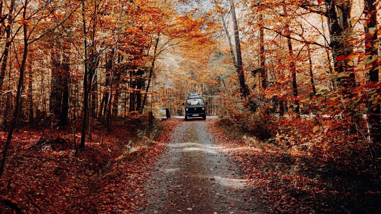 1600x900 Download wallpaper 1600x900 forest, road, car, autumn, nature widescreen 16:9 HD background