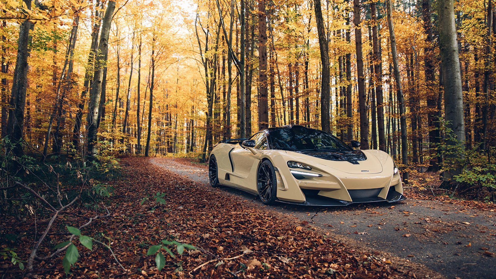 1920x1080 Car In Forest Wallpaper