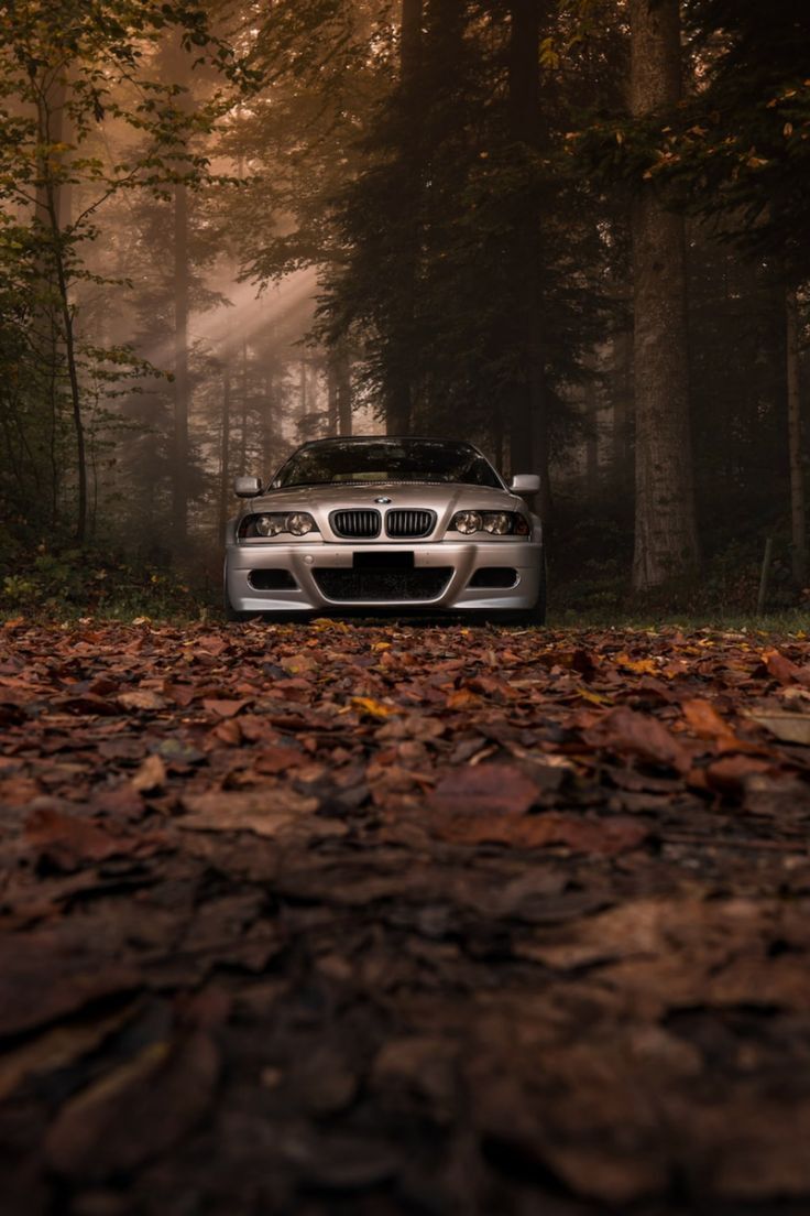 736x1104 Free HD Forest Supercars Super Car Wallpaper