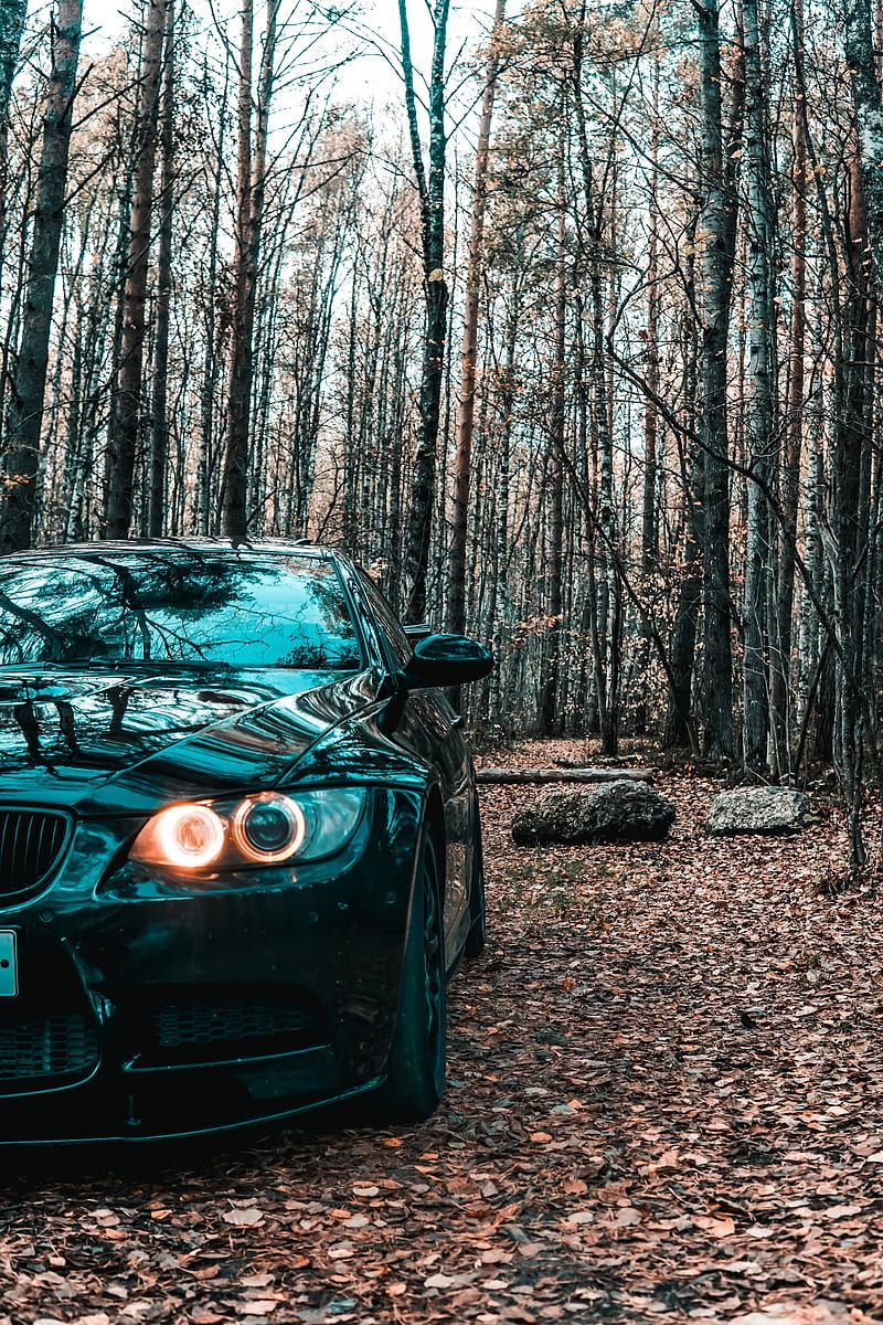 800x1200 Bmw, car, black, front view, forest, HD phone wallpaper