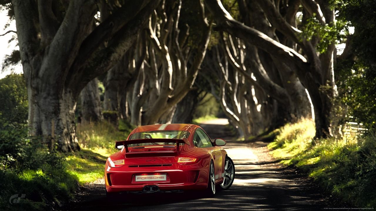 1280x720 Porsche Car Forest