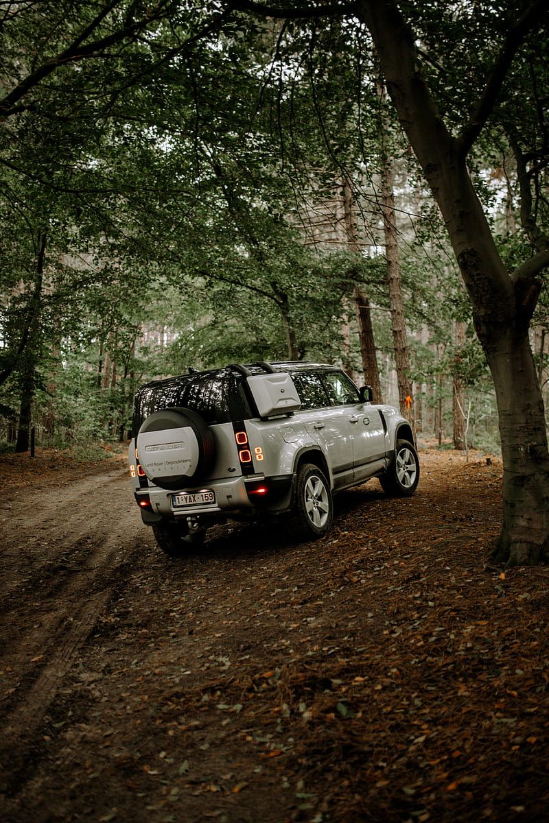 800x1200 Land rover, car, suv, rear view, forest, HD phone wallpaper