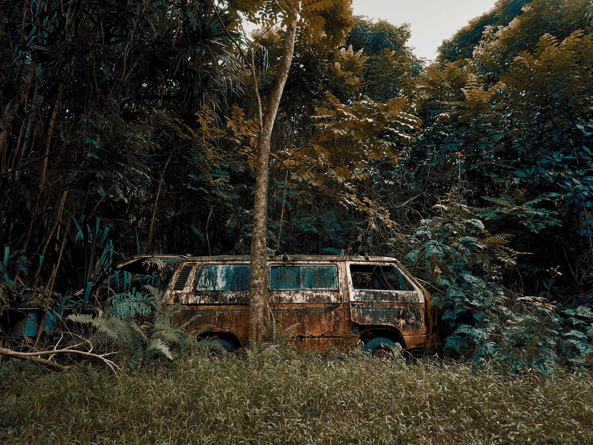 1920x1440 Hawaii's Dense Forests Envelop Abandoned Cars in Photographs