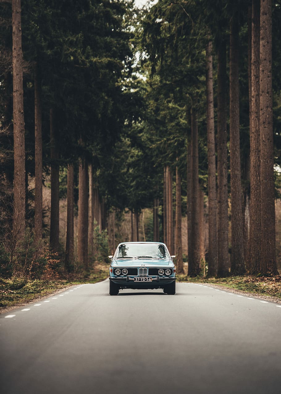 910x1274 HD wallpaper: blue car near forest, blue car in the middle of the road during daytime