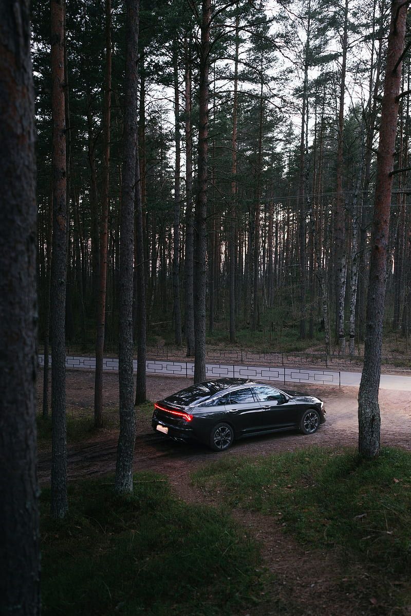 800x1198 Car, black, forest, trees, HD phone wallpaper