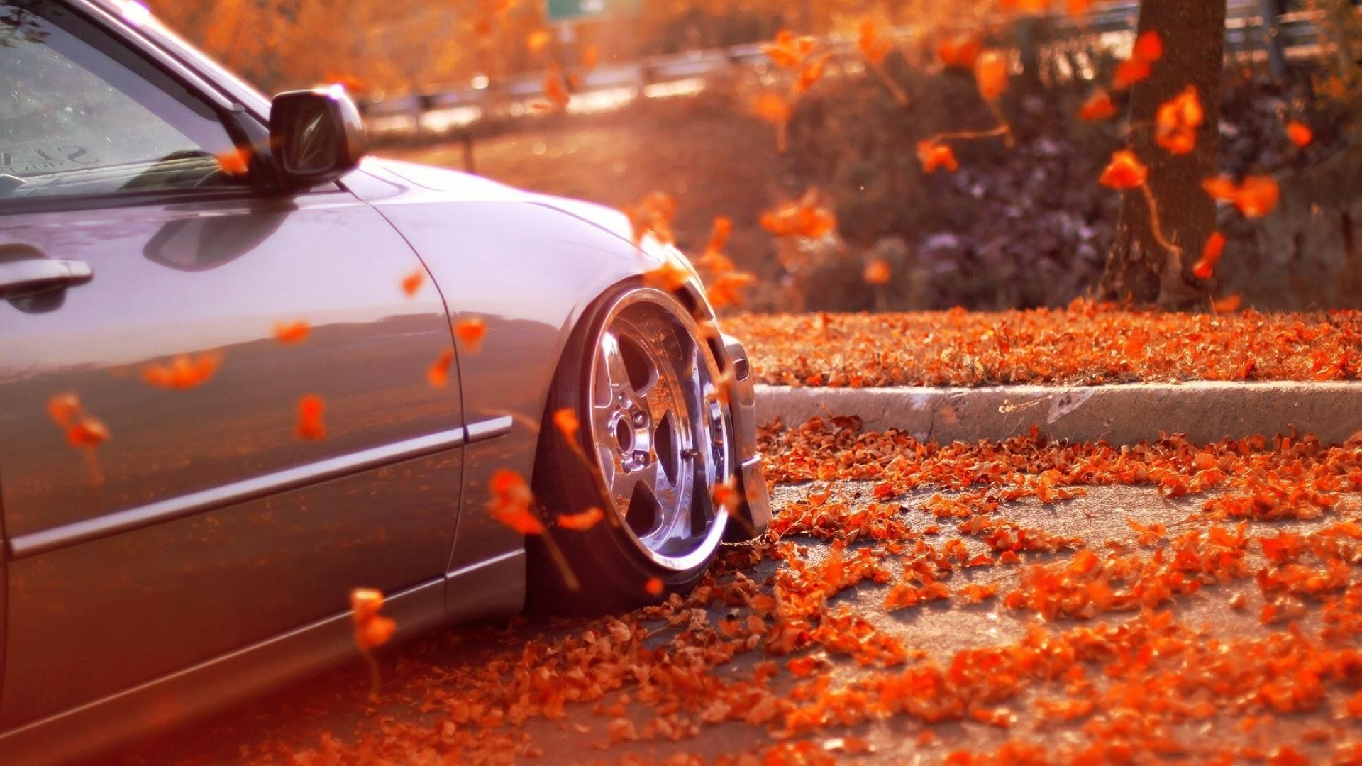 1920x1080 autumn, Fall, Landscape, Nature, Tree, Forest, Leaf, Leaves, Car, Tuning Wallpaper HD / Desktop and Mobile Background