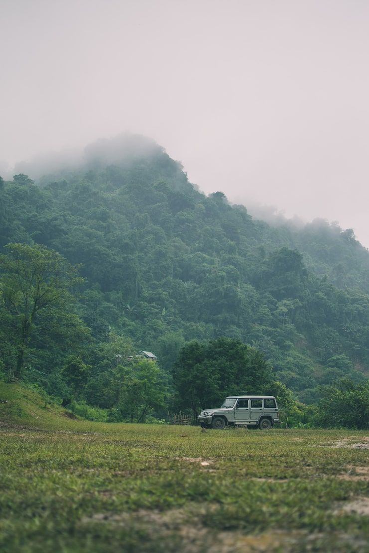740x1110 Car nature Image