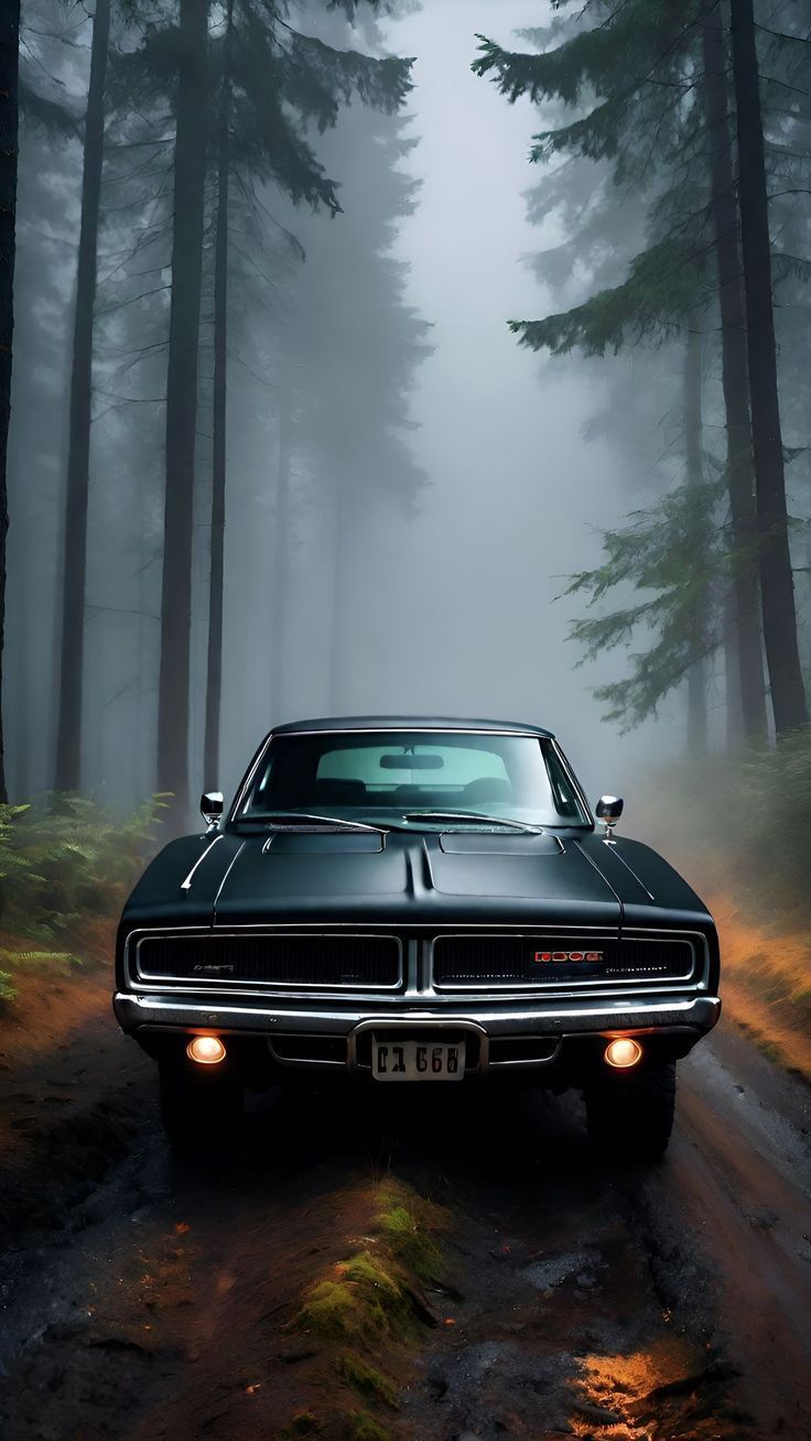 736x1308 Wallpaper car, forest, fog, black, art, Cars 4K by ???ℯℯ? ℳℴ?ℯ??? ?. Download wallpaper car, forest, fog, black, art for free