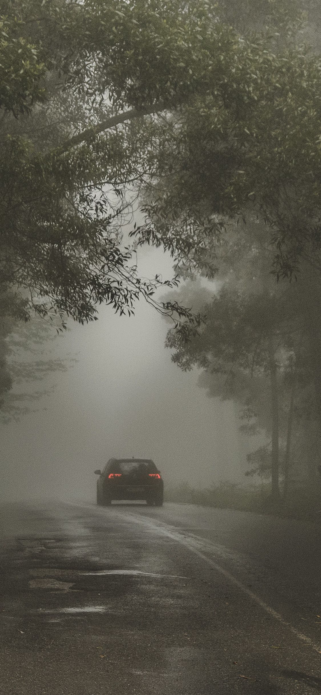 1125x2436 iPhone X wallpaper. forest street wood dark nature car
