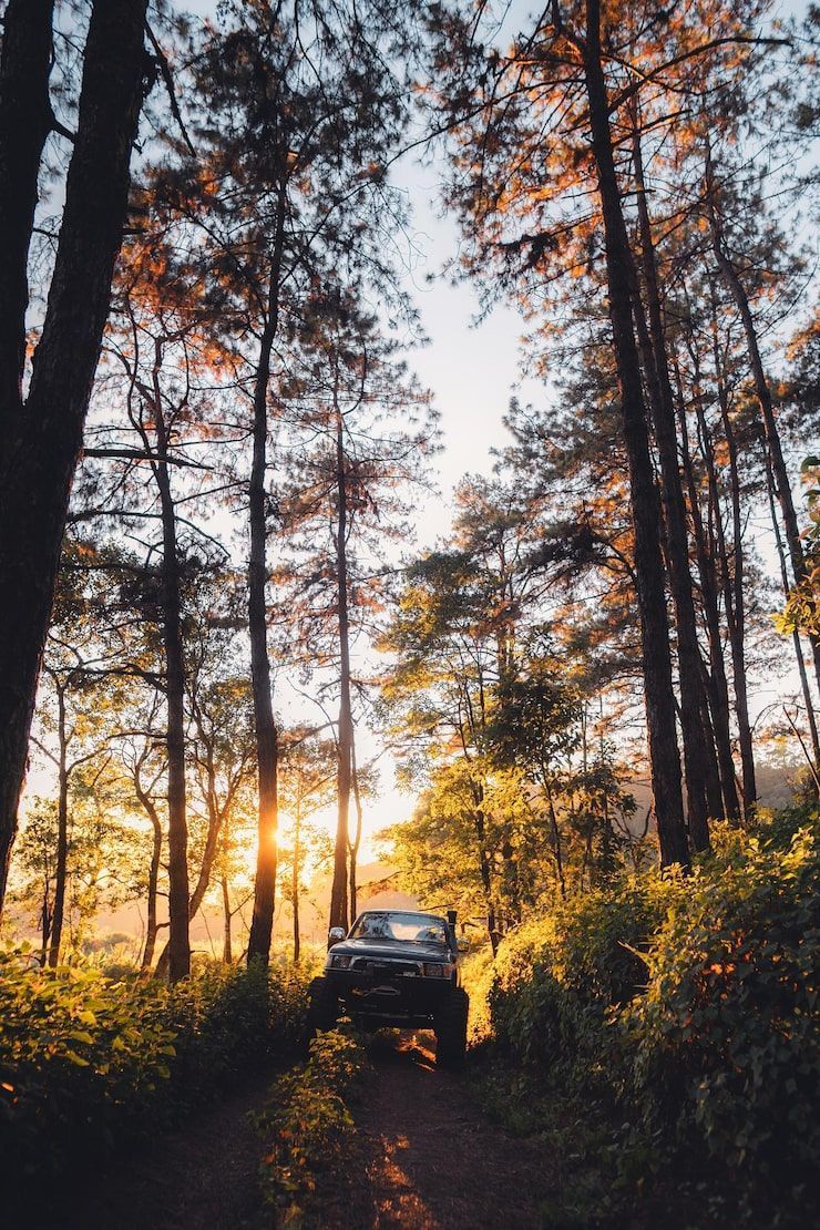740x1110 Car nature Image