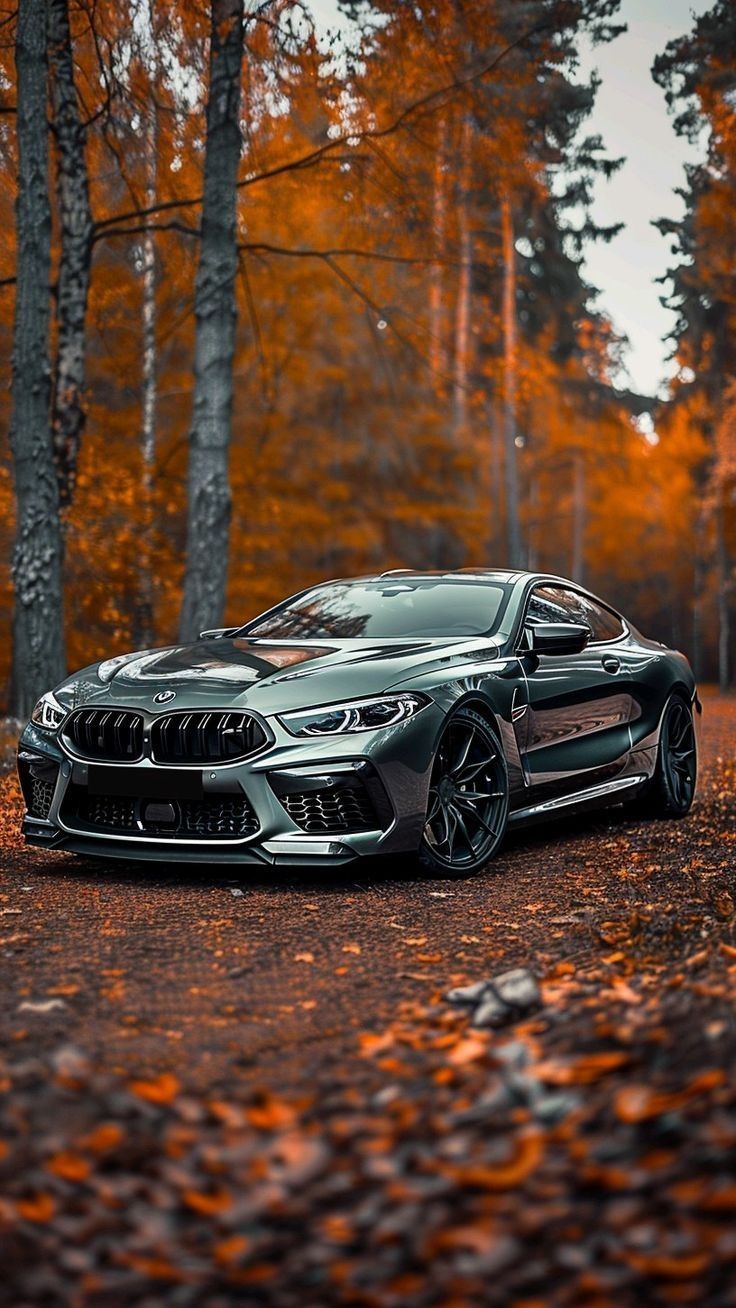 736x1308 Forest Escape: Hyperrealistic Car Wallpaper