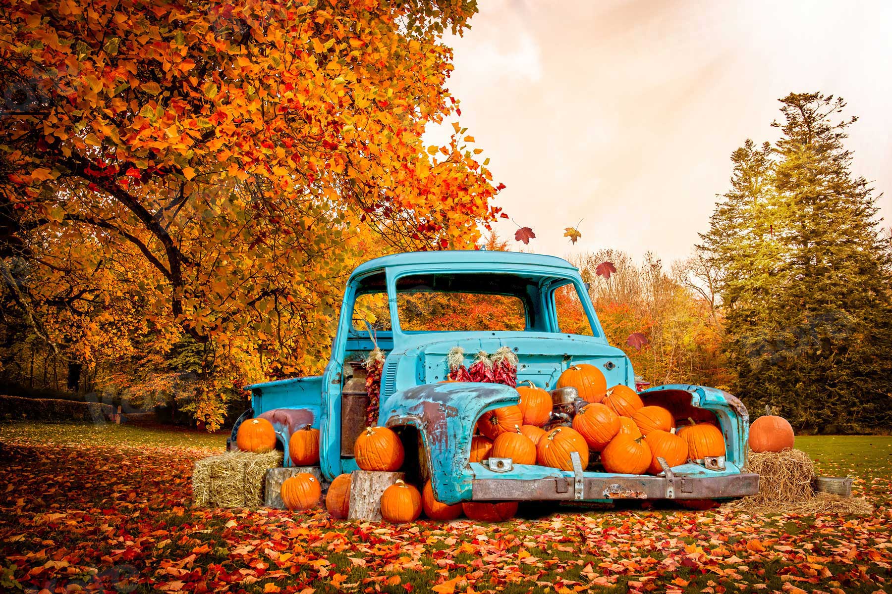 1800x1200 Kate Fall Pumpkin Car Backdrop Truck Forest for Photography