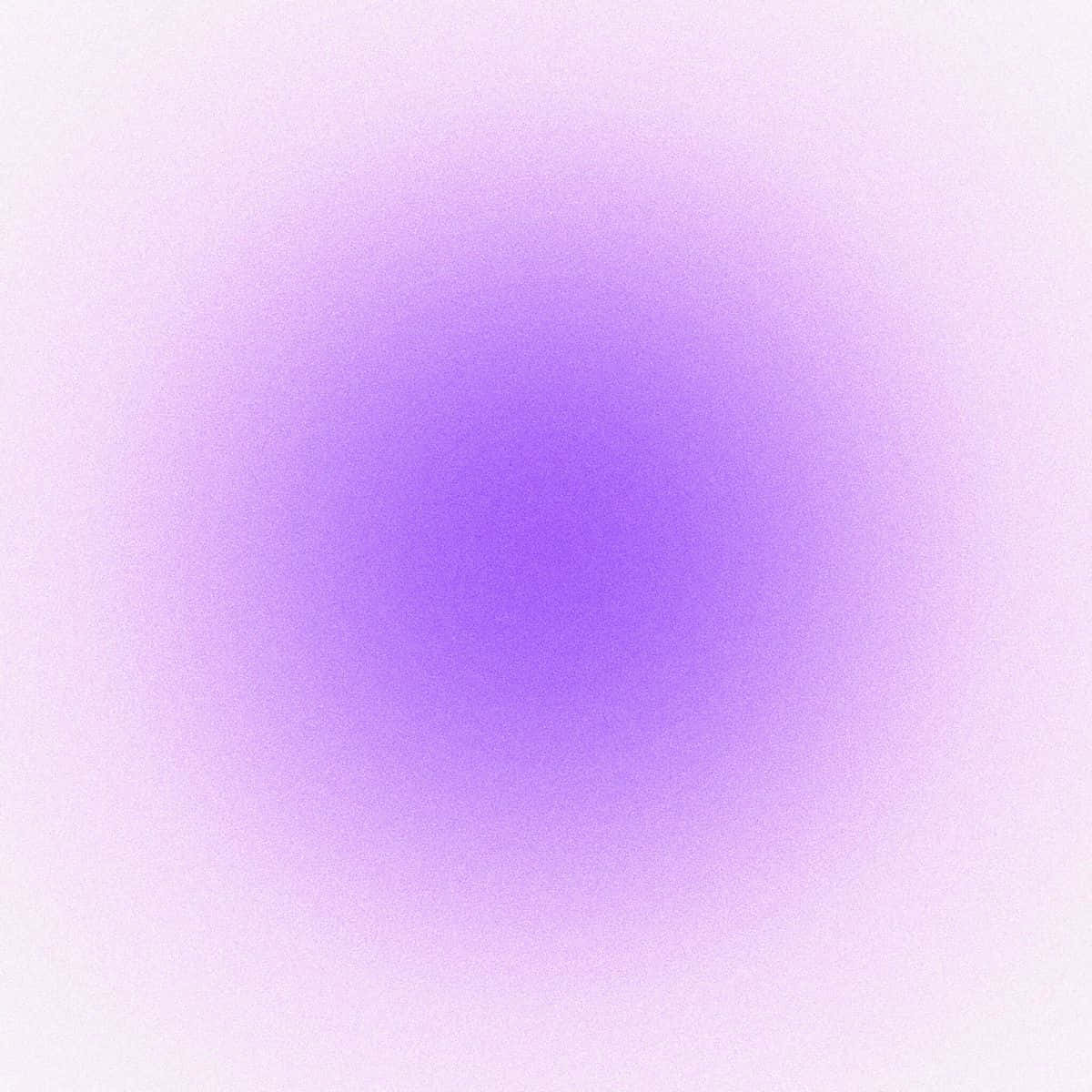 1200x1200 Download Portrait Purple Gradient Circle Background