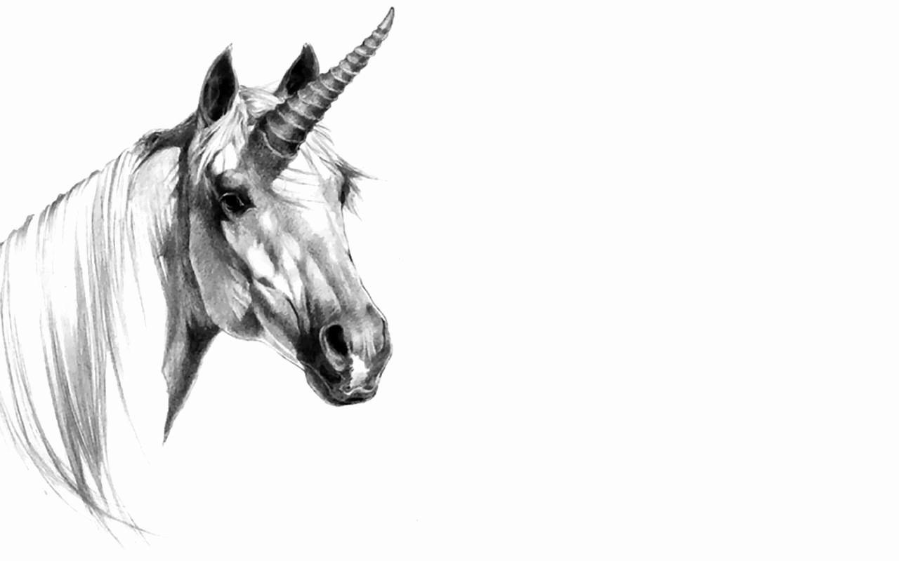 1280x800 Sketches Wallpaper Luxury Pencil Drawing Wallpaper