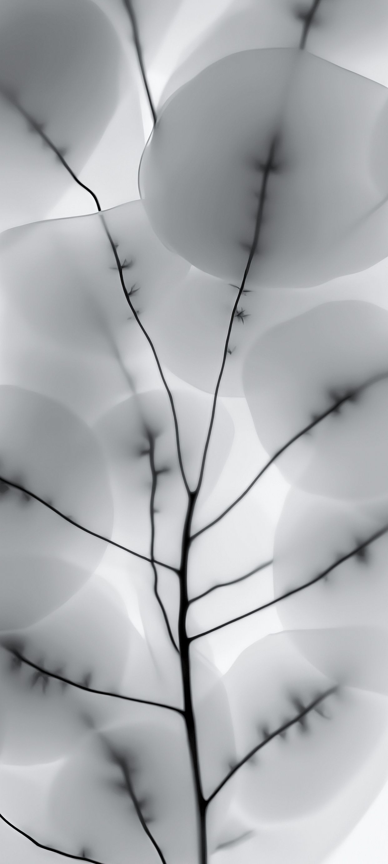 1242x2760 Nothing Phone 2 Wallpaper and Background