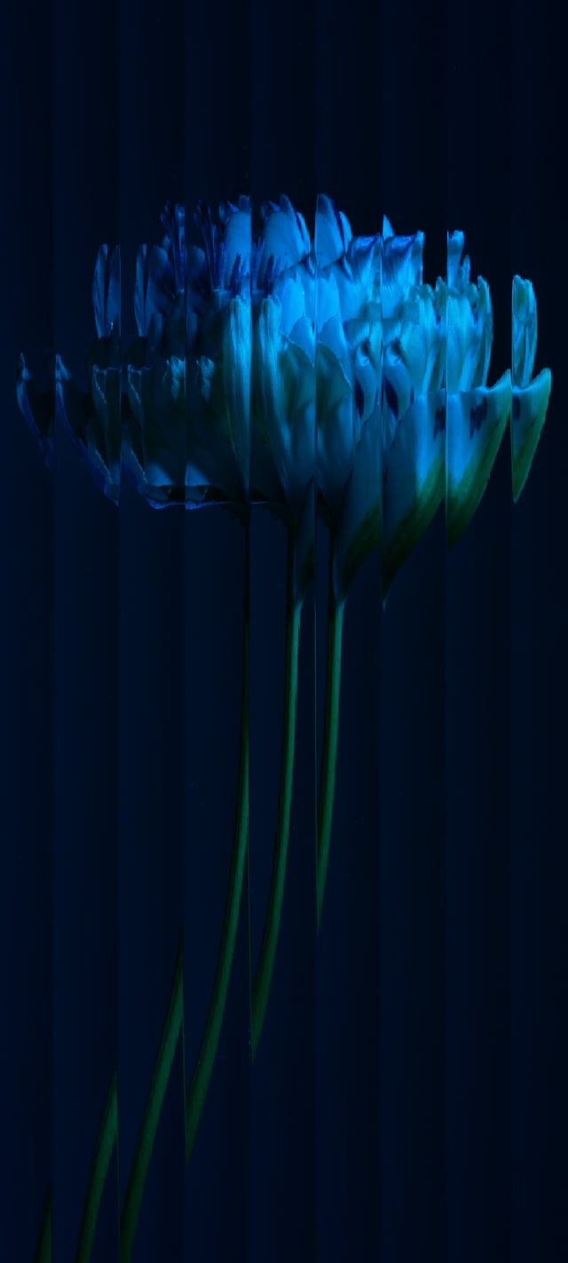 640x1422 Nothing Phone 1 Alternative Wallpaper