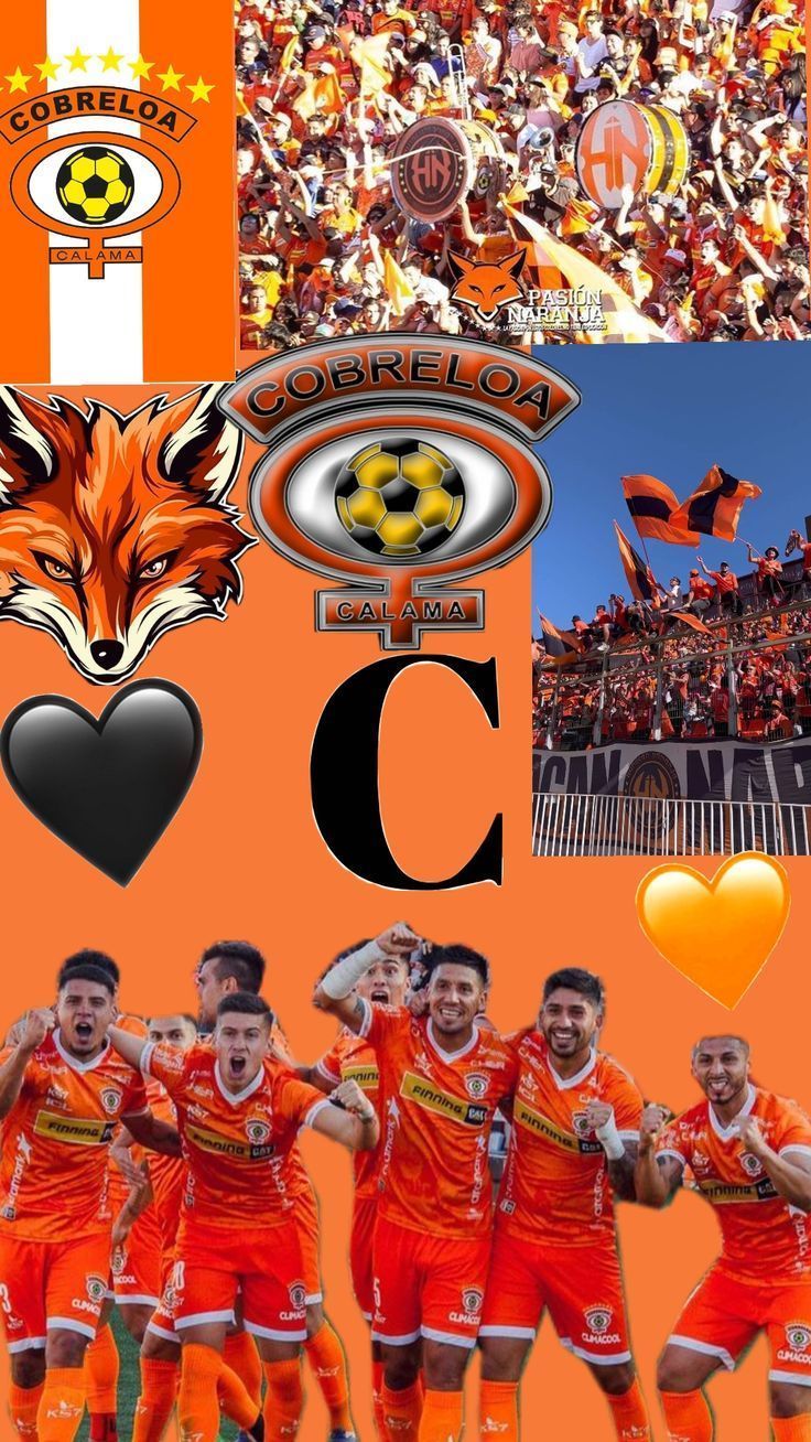 736x1308 ideas de Cobreloa en 2025. futbol chileno, insignias de futbol, logos de futbol