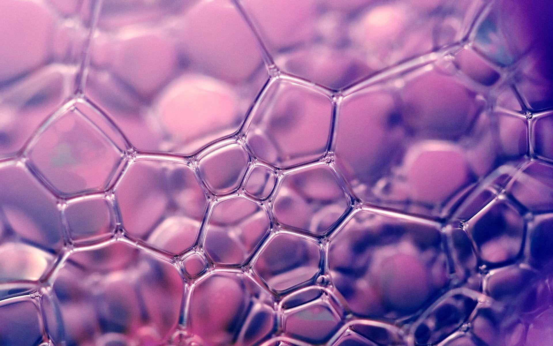 1920x1200 Purple ball, macro, bubbles, soap, abstract HD wallpaper