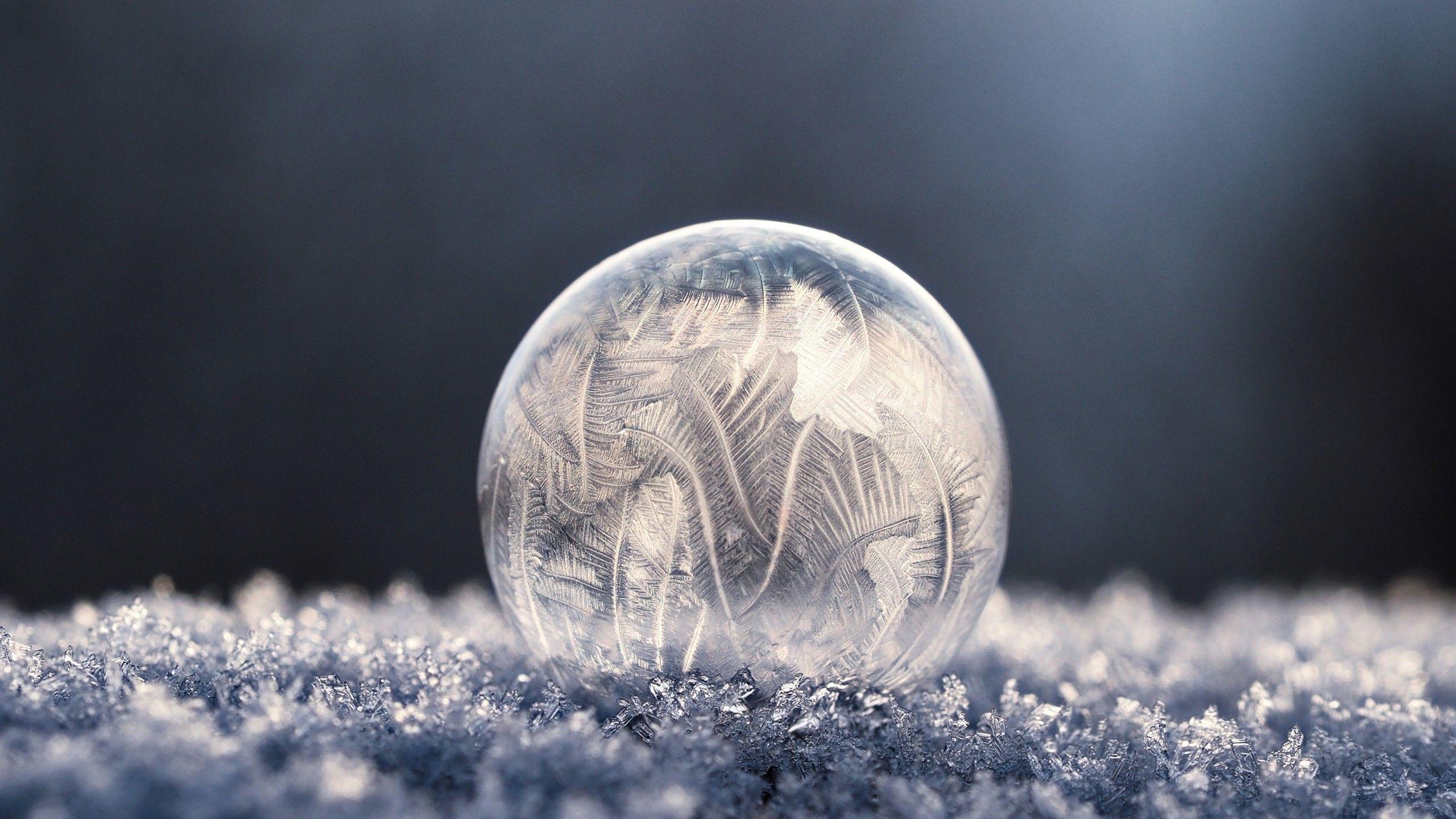 2560x1440 #macro, #frost, #frozen bubble, #soap, #bubbles