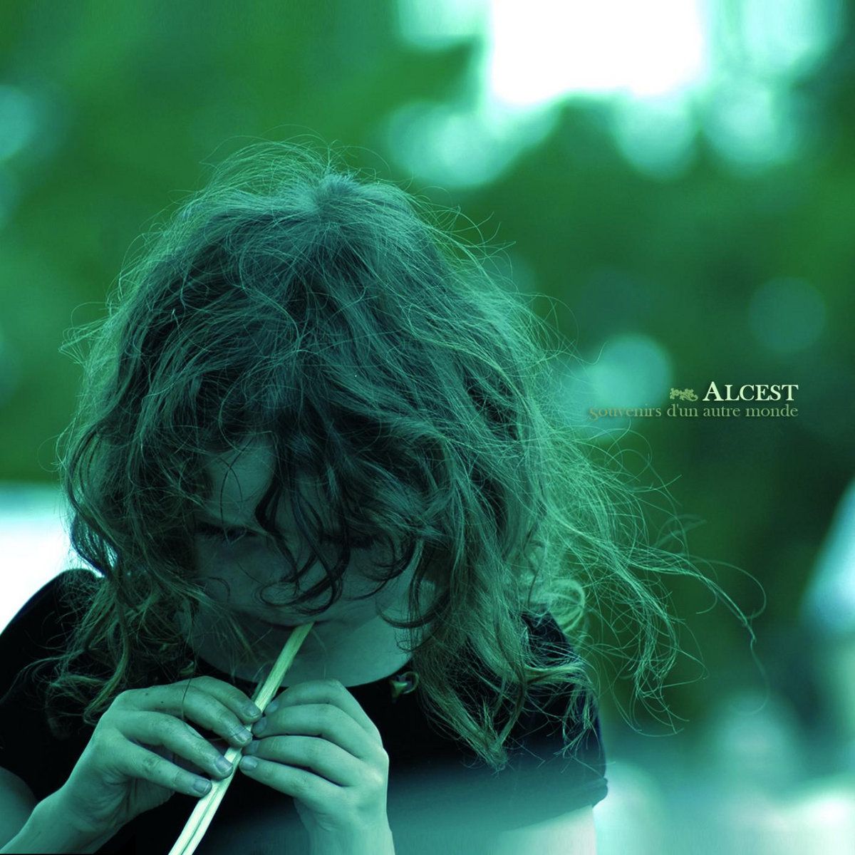 1200x1200 Ciel Errant