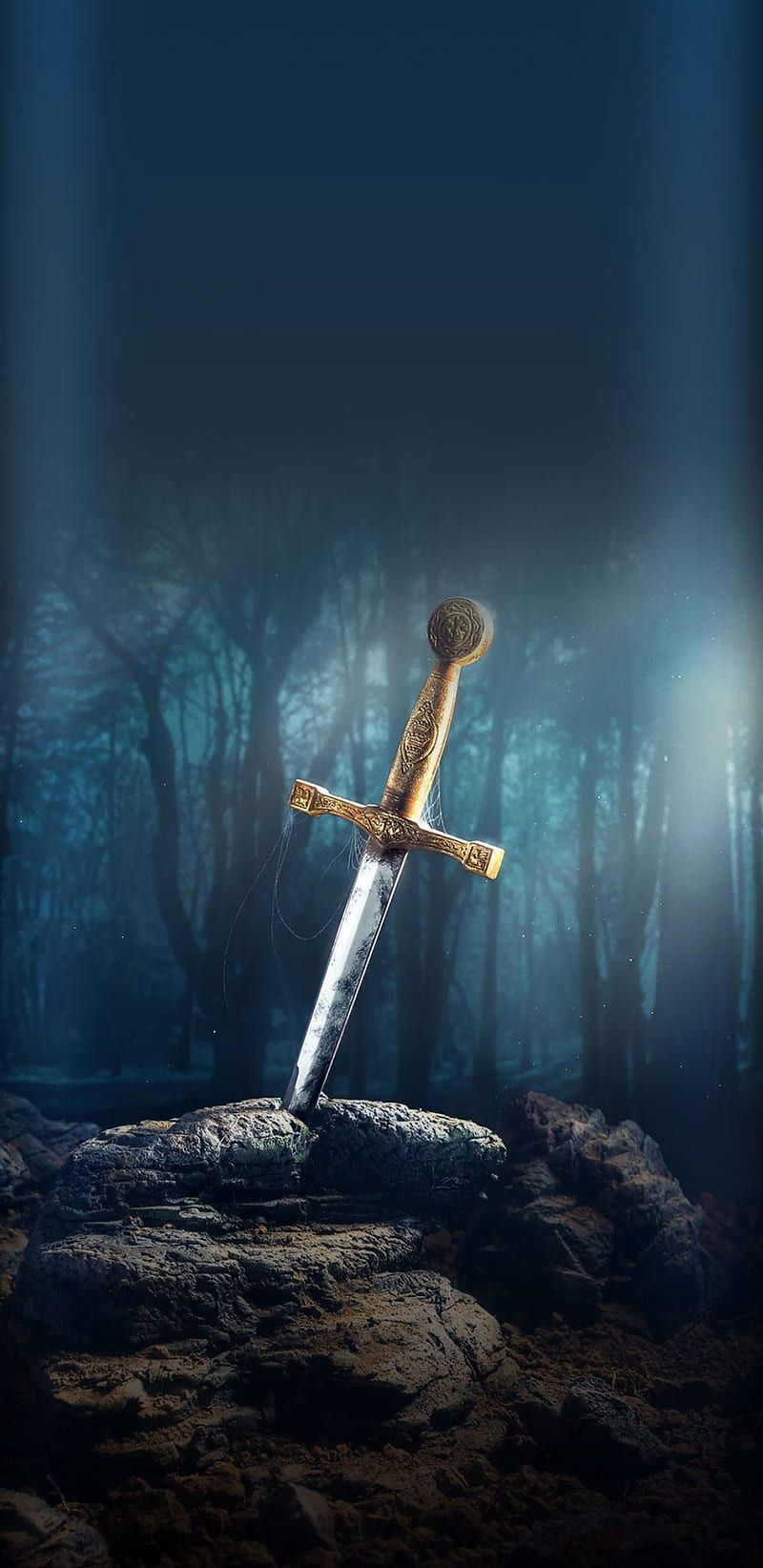 800x1644 A Nights Sword, cool, fantasy, warrior, HD phone wallpaper