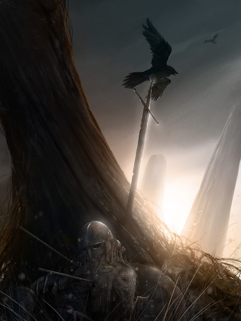 800x1067 Artwork, fantasy art, sword, helmet, battlefields, crow, ruins, warrior, dark fantasy, HD phone wallpaper