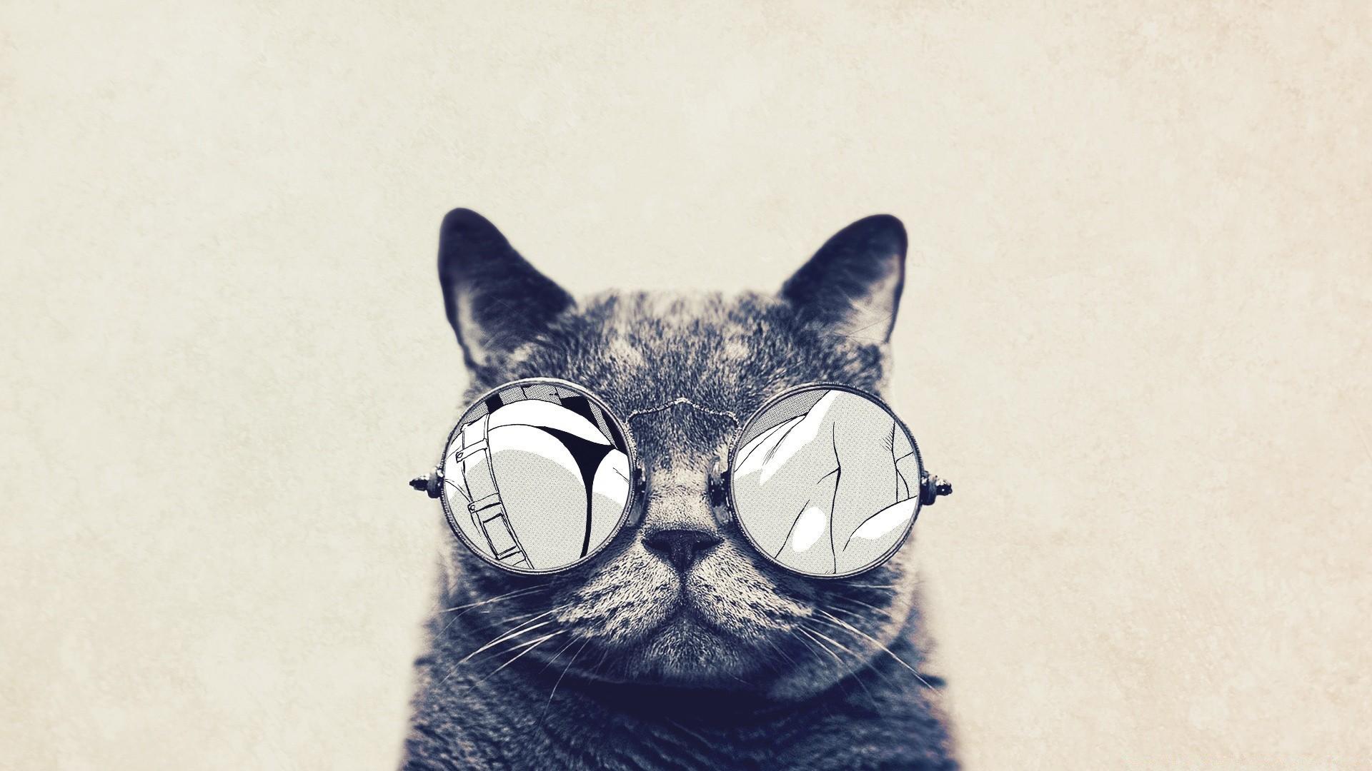 1920x1080 Hipster cat