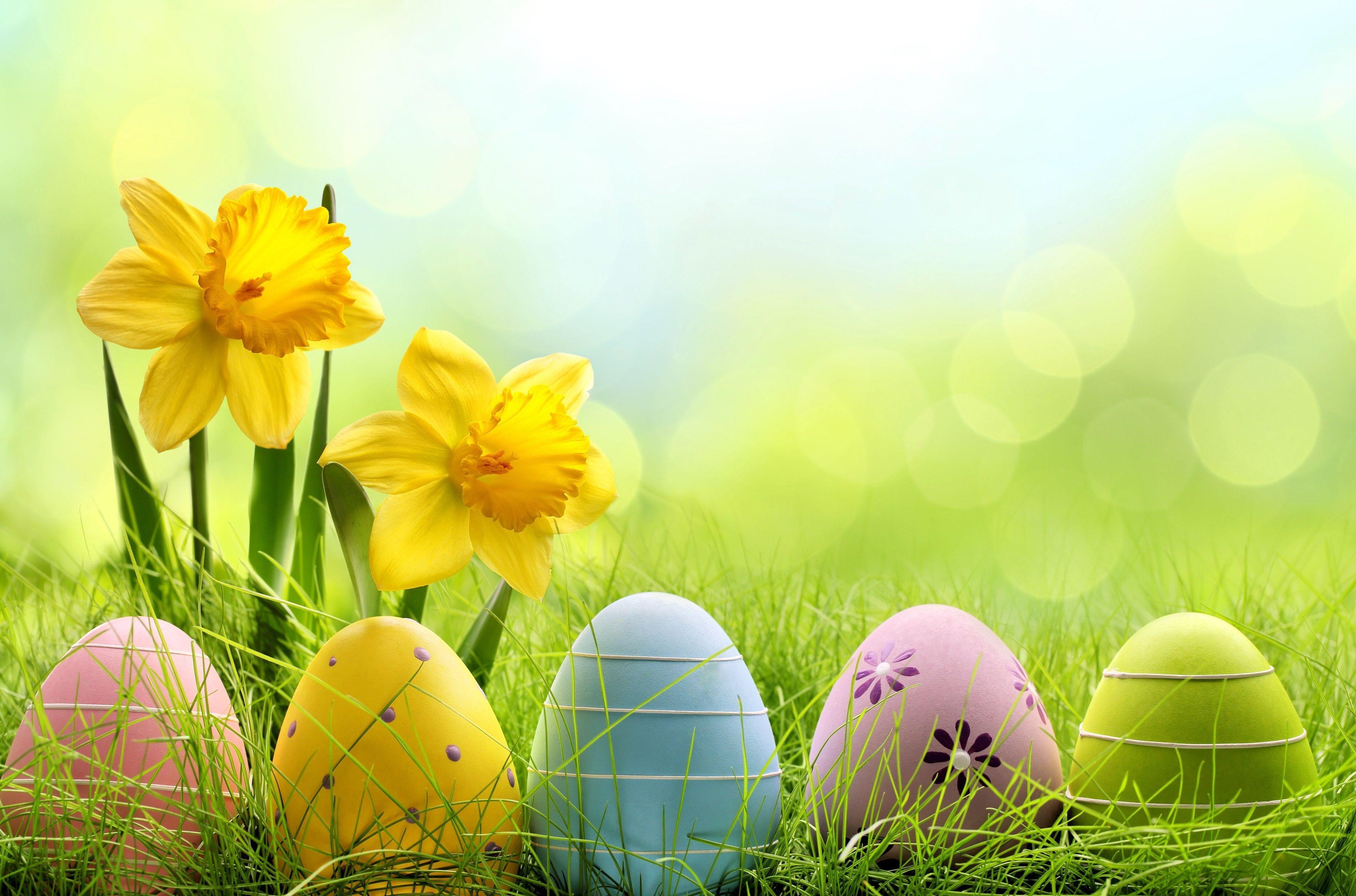 Easter 4K Wallpapers - Top Free Easter 4K Backgrounds - WallpaperAccess