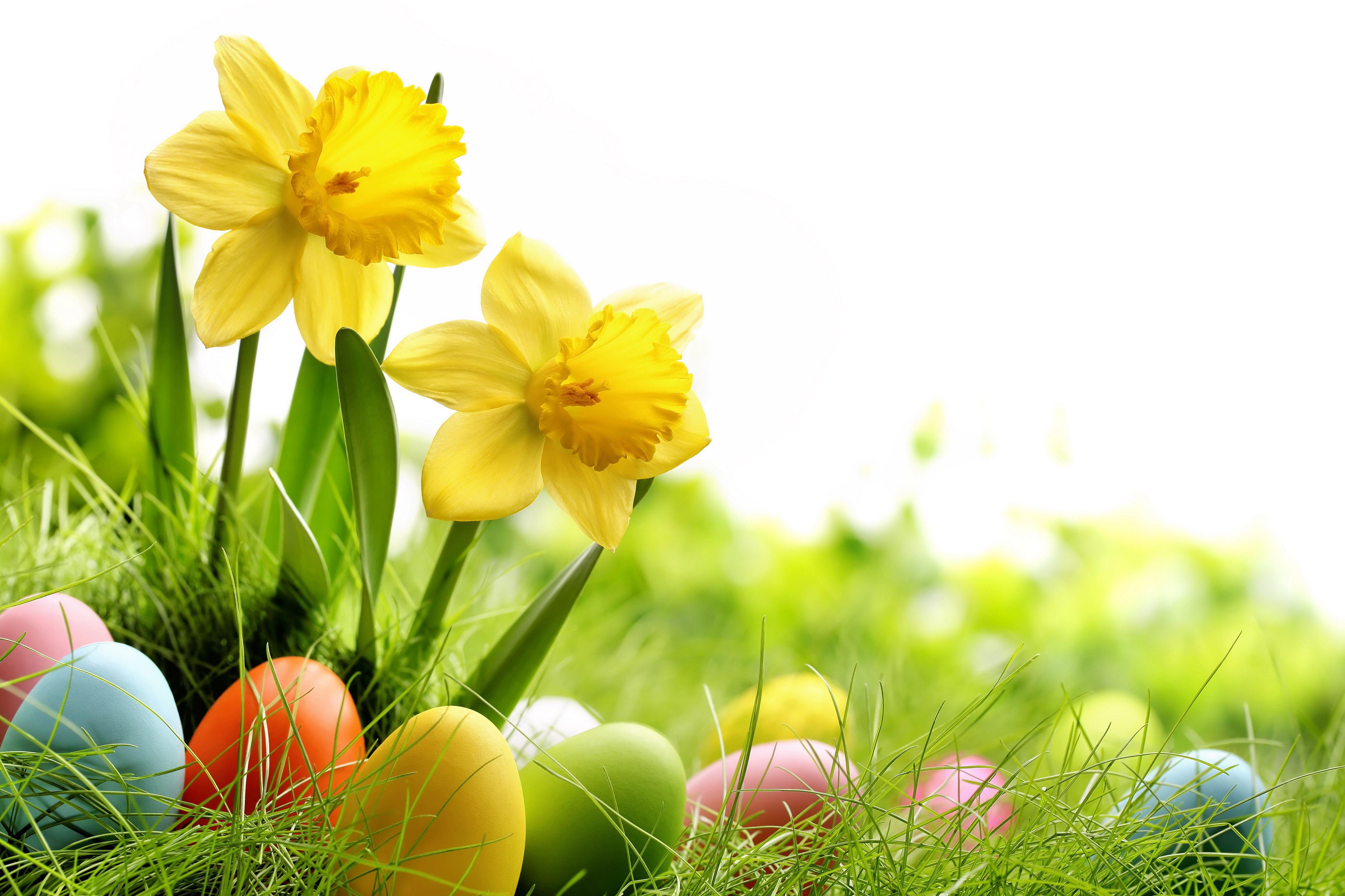 Easter 4K Wallpapers Top Free Easter 4K Backgrounds WallpaperAccess