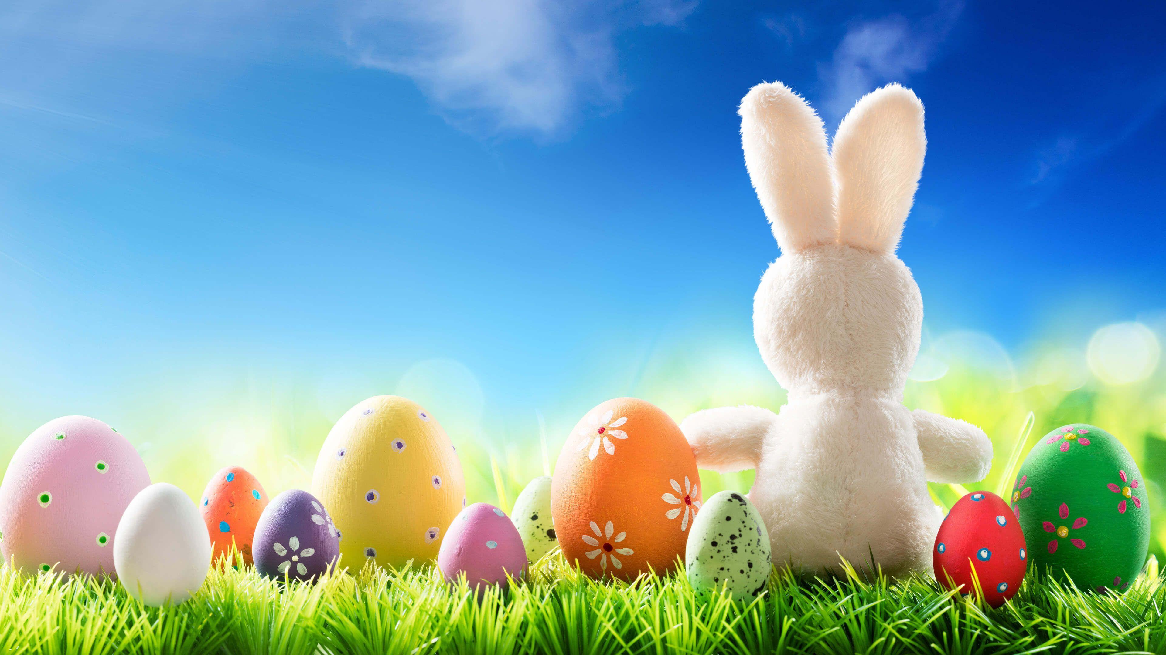 Easter 4K Wallpapers - Top Free Easter 4K Backgrounds - WallpaperAccess