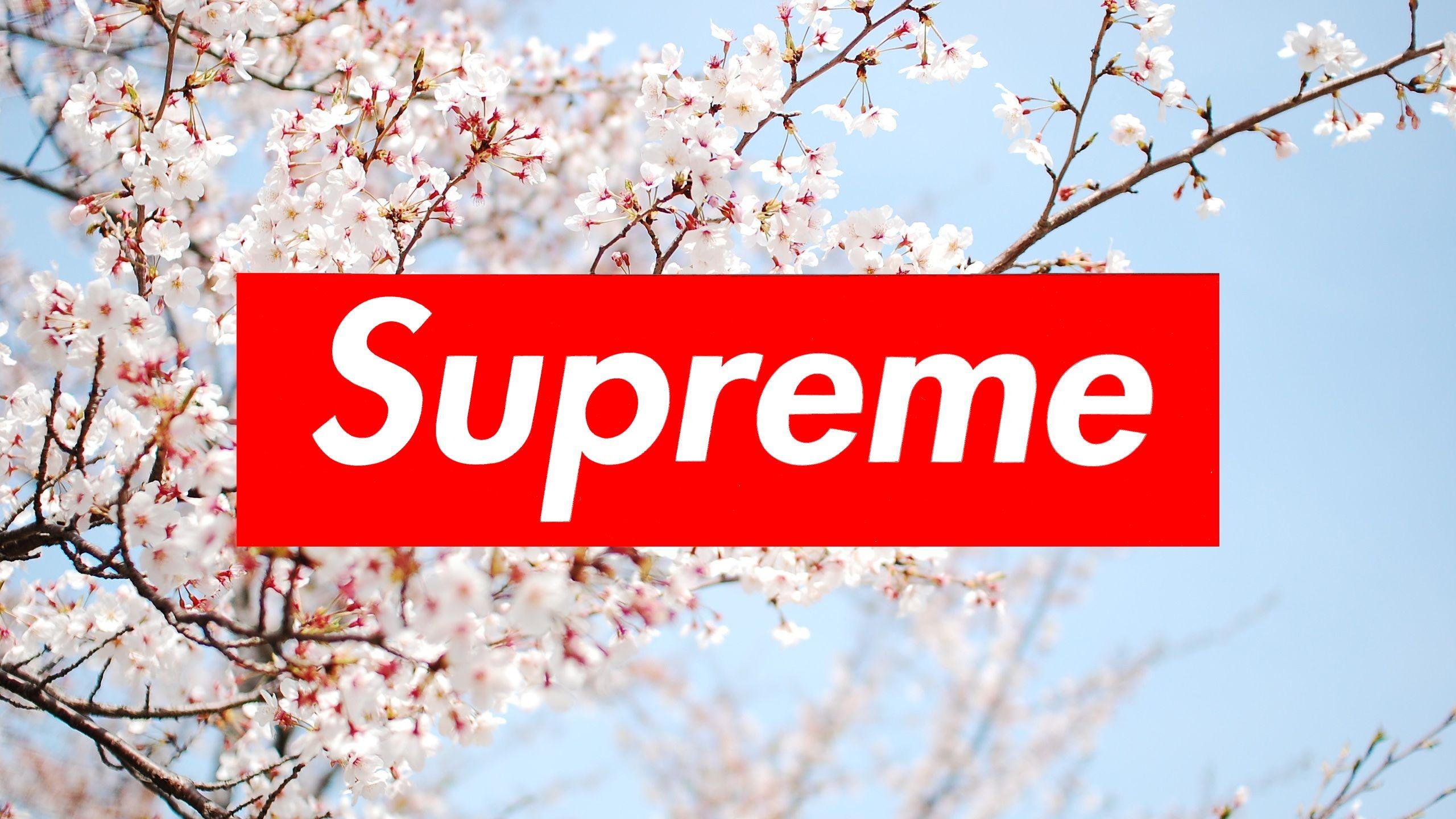 Supreme Floral Desktop Wallpapers - Top Free Supreme ...