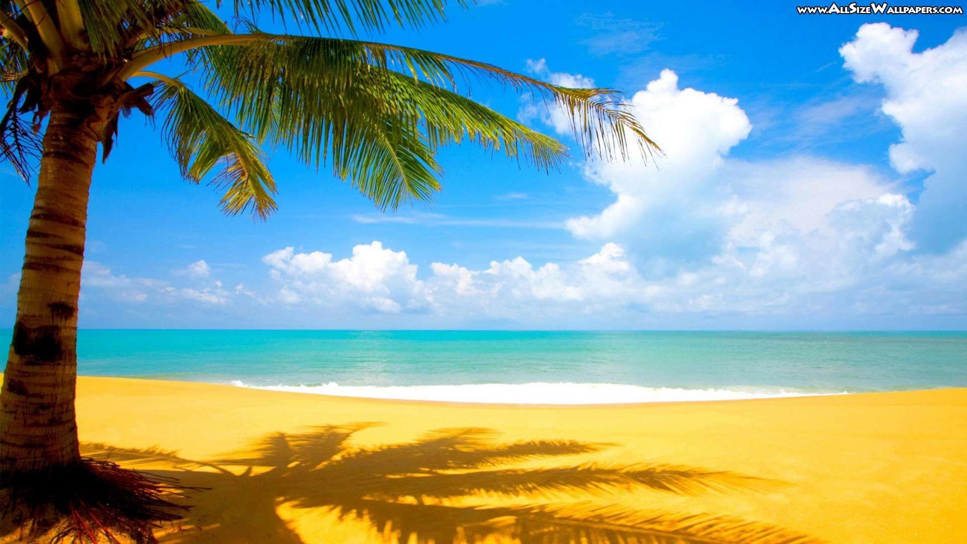 1920x1080 Summer Wallpaper 1920x1080