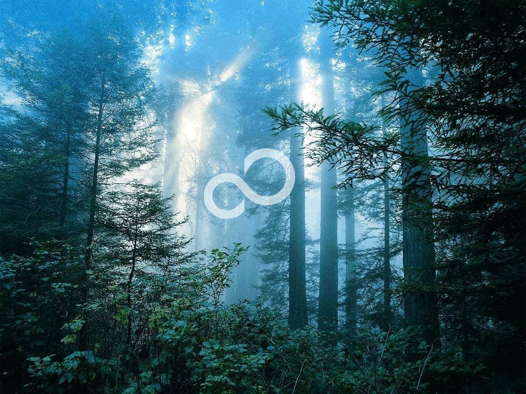 Fujitsu Wallpapers Top Free Fujitsu Backgrounds WallpaperAccess