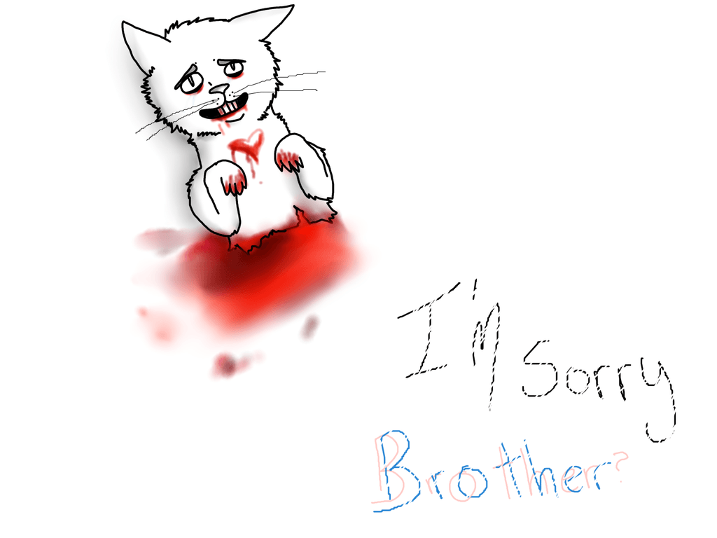 1024x768 Sorry To Brother Wallpaper