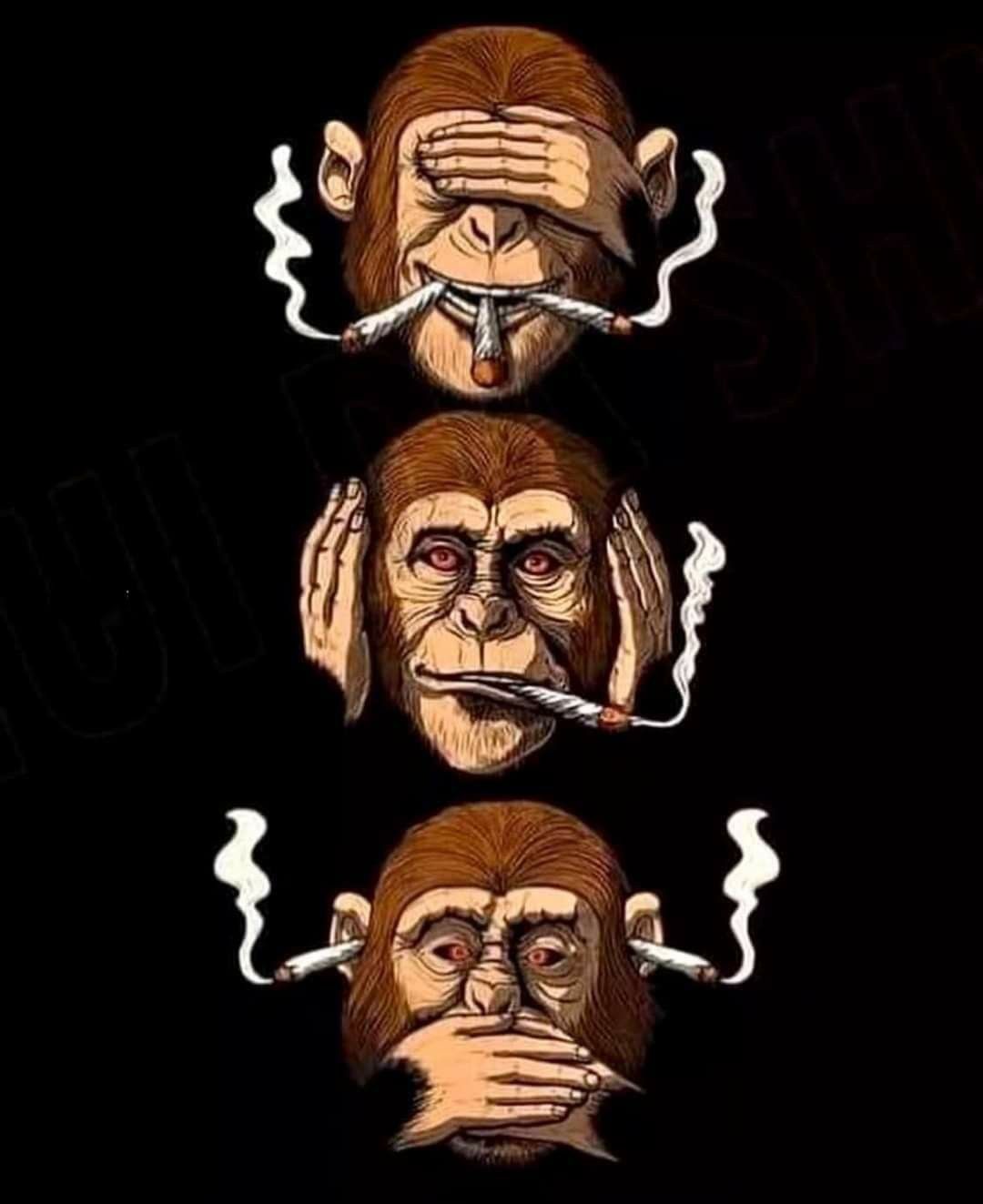 1080x1323 See No Evil, Hear No Evil Wallpaper
