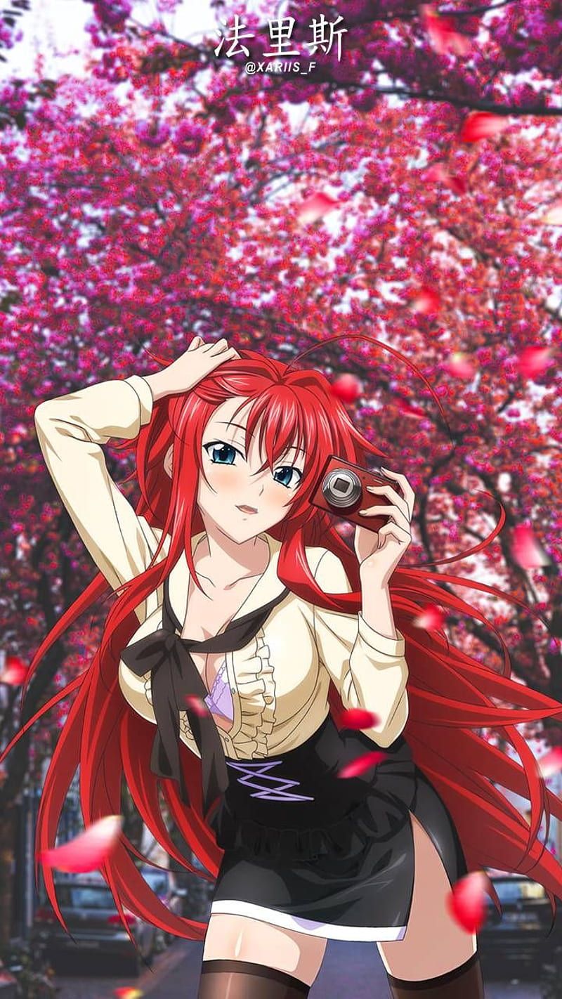 800x1422 Rias Gremory, high school dxd, waifu, anime, HD phone wallpaper