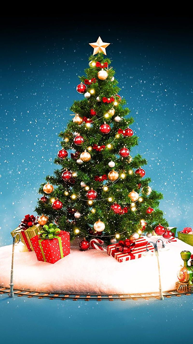 800x1422 Christmas tree, christmas season, merry, xmas, season, HD phone wallpaper