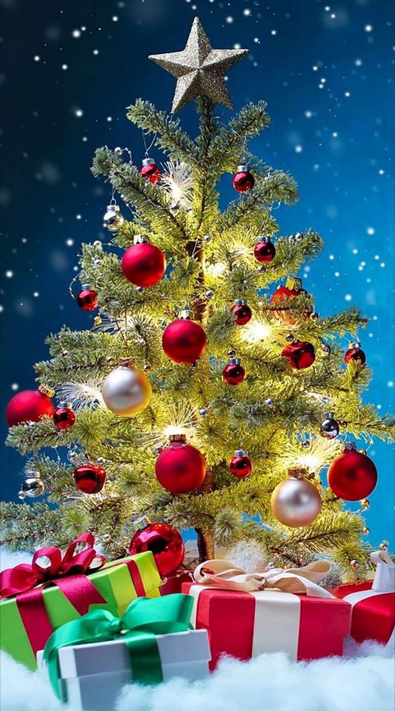 800x1439 Christmas tree, christmas tree, christmas season, HD phone wallpaper