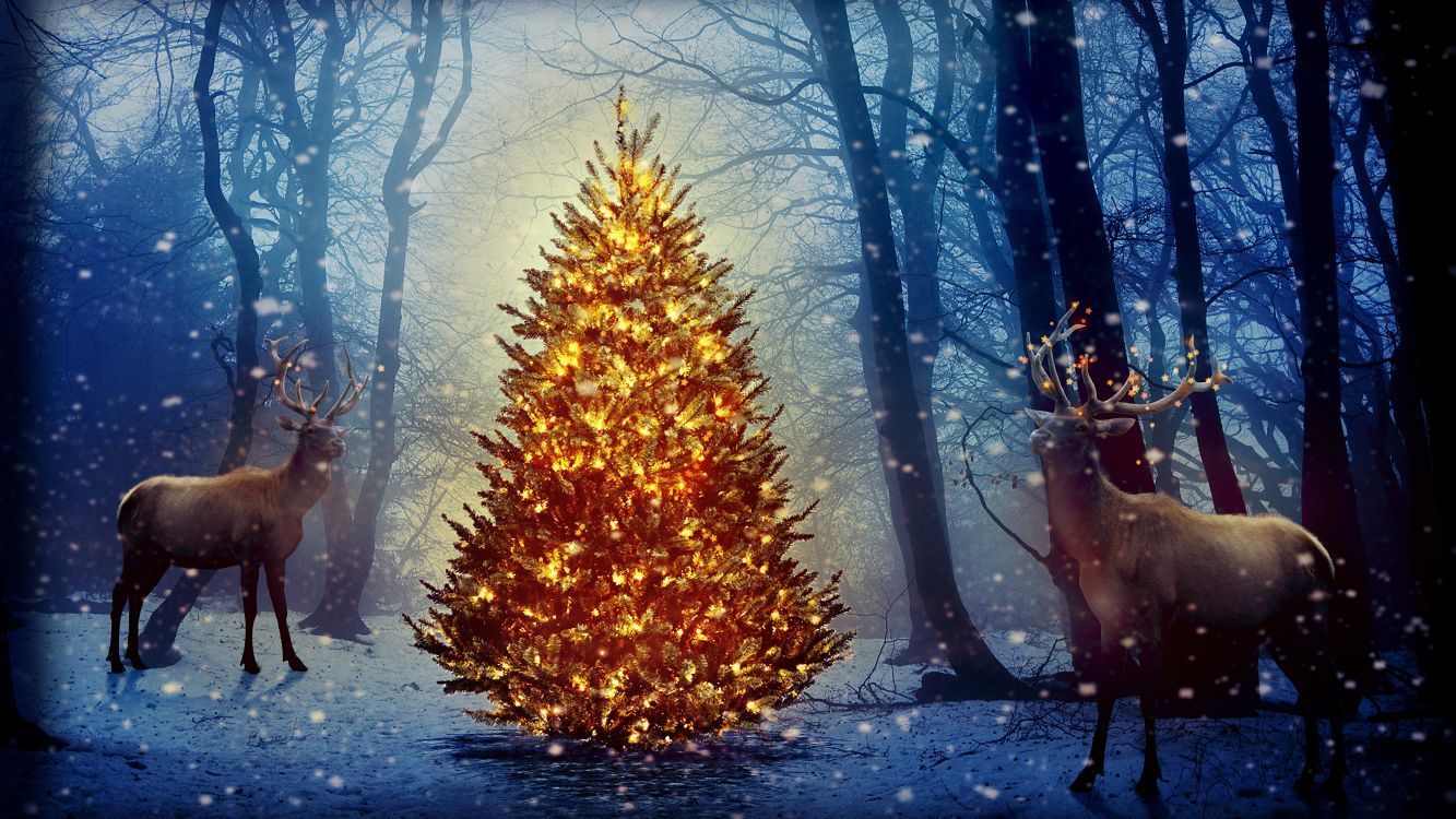 1333x750 Wallpaper Christmas Nature, Deer, Christmas Tree, Christmas Day, Santa Claus, Background Free Image
