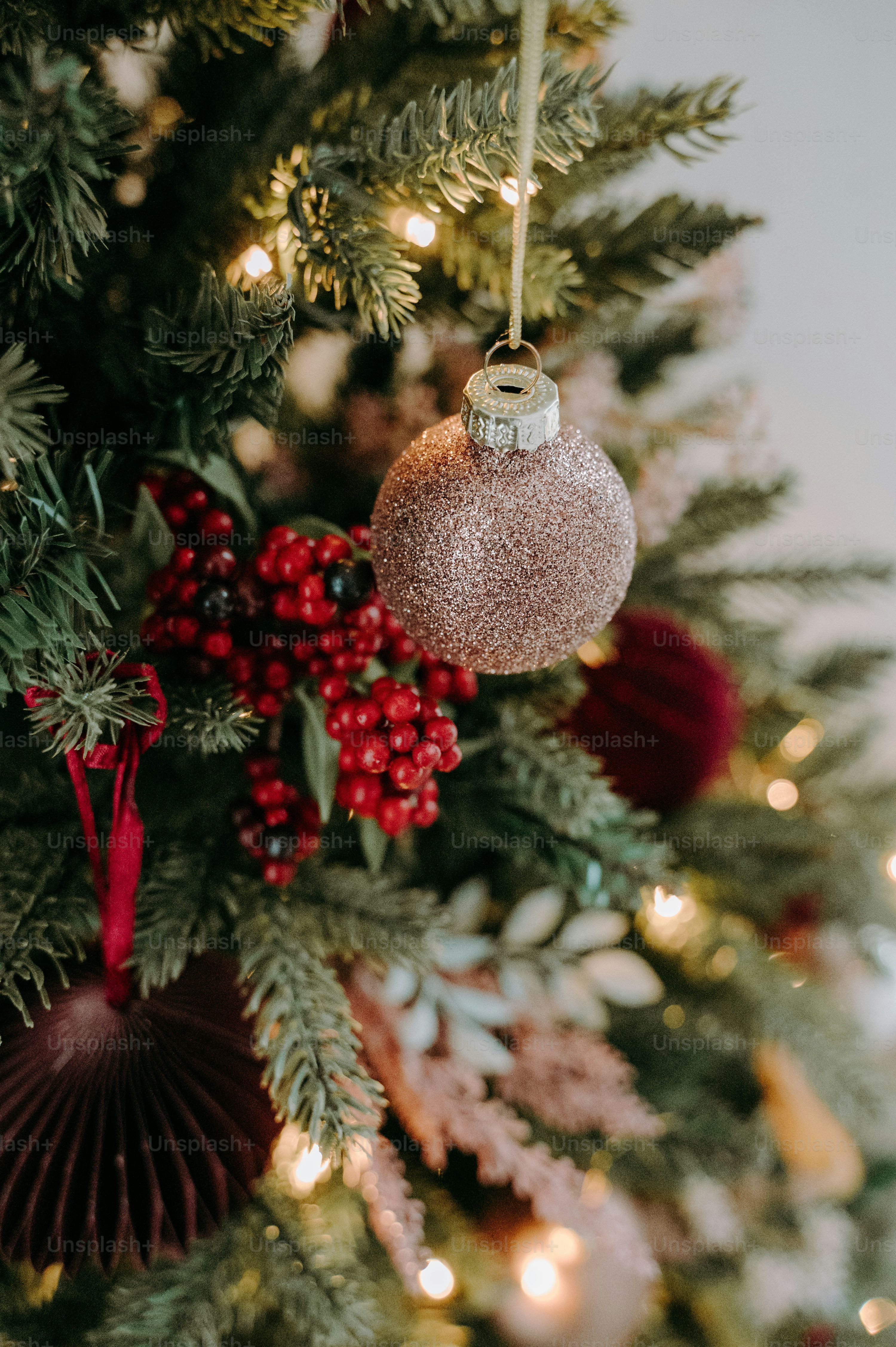 3000x4509 Christmas Scene Picture. Download Free Image
