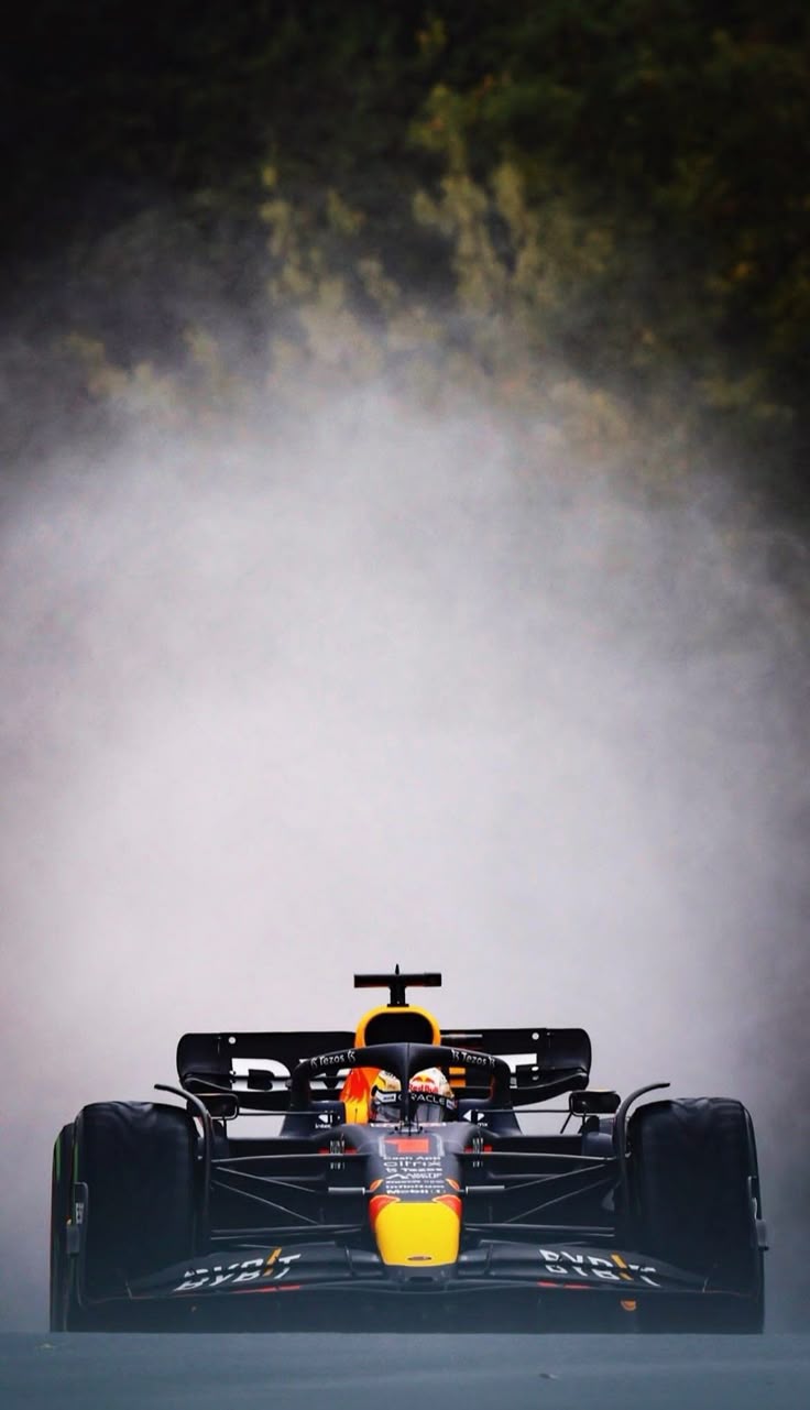 736x1281 Max Verstappen