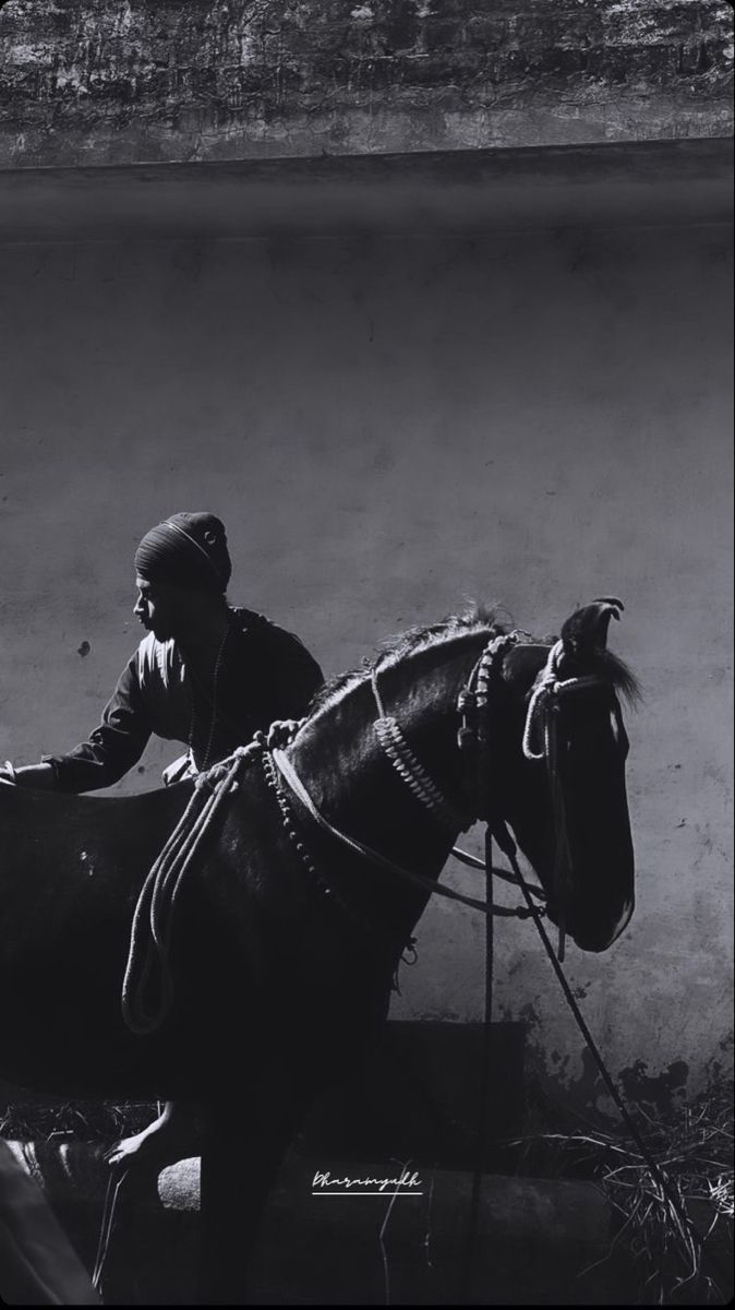 674x1200 Sikh warrior with horse