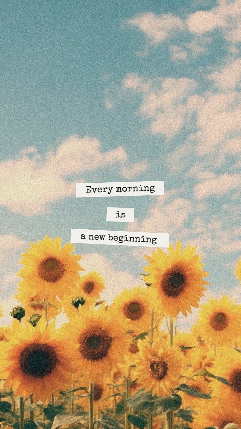 800x1423 Motivation quote mobile phone wallpaper